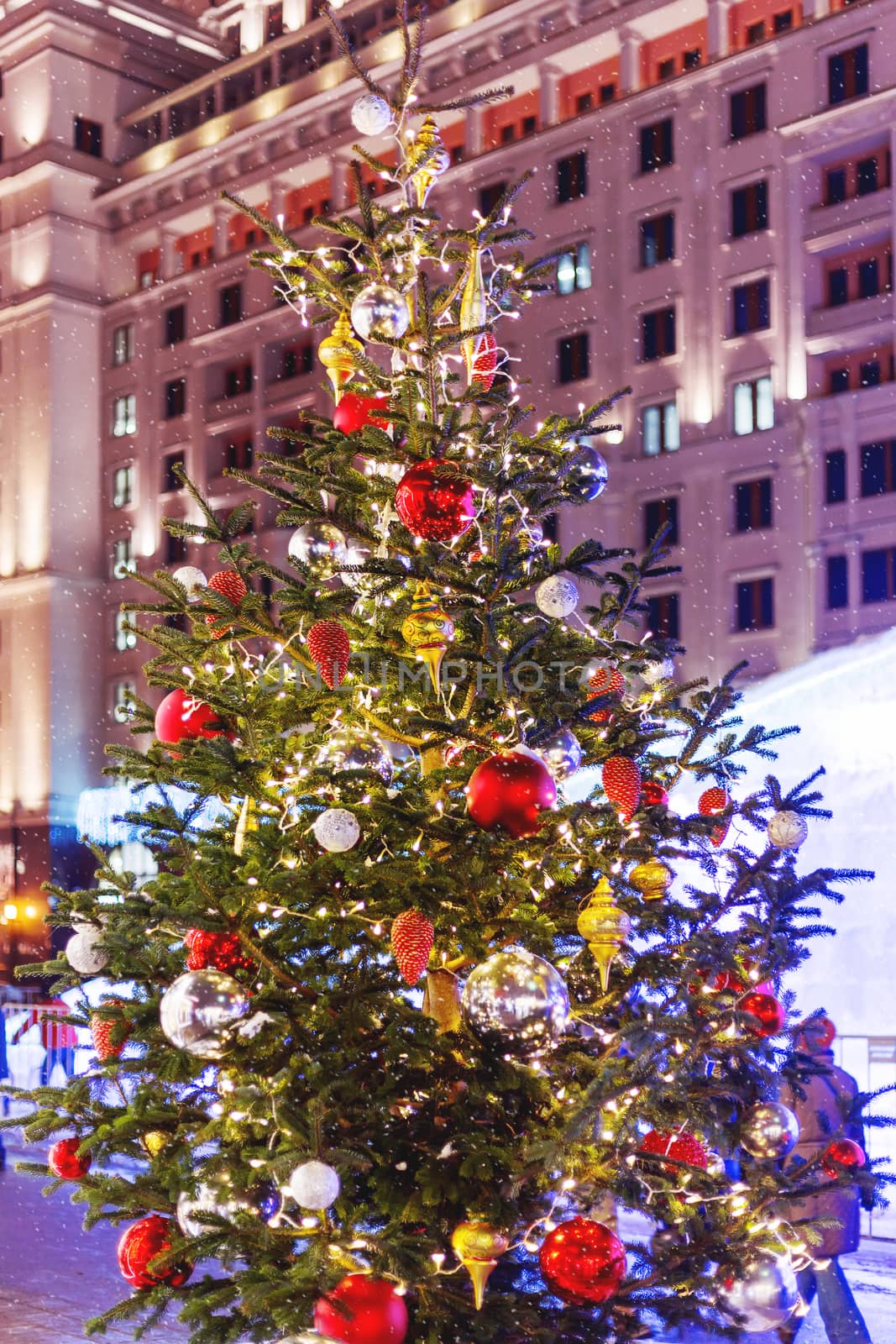 Streets in the historical center of Moscow decorated for New Year and Christmas celebration. Fir trees with bright red and yellow balls and light bulbs. Russia.