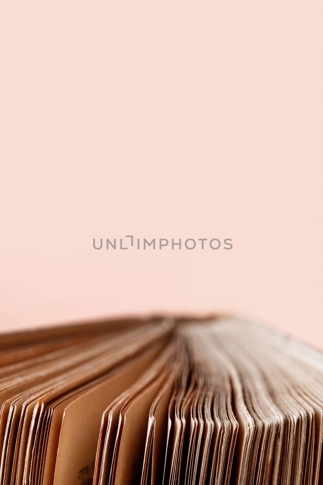 Torned pages of opened old book. Macro photo of book with shabby covers and ragged pages on light pink background. Banner with copy space.