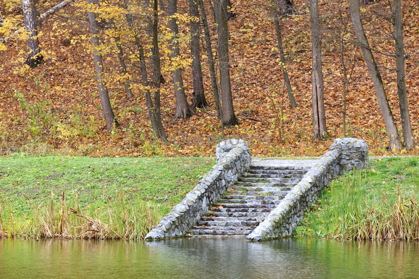 On the shore of the autumn forest pond, the old, moss-covered, stone steps touch the calm surface of the water.