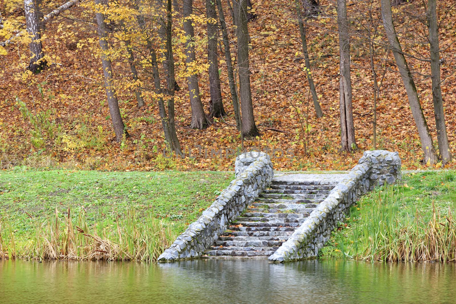 In the autumn pond down the stone old steps. by Sergii