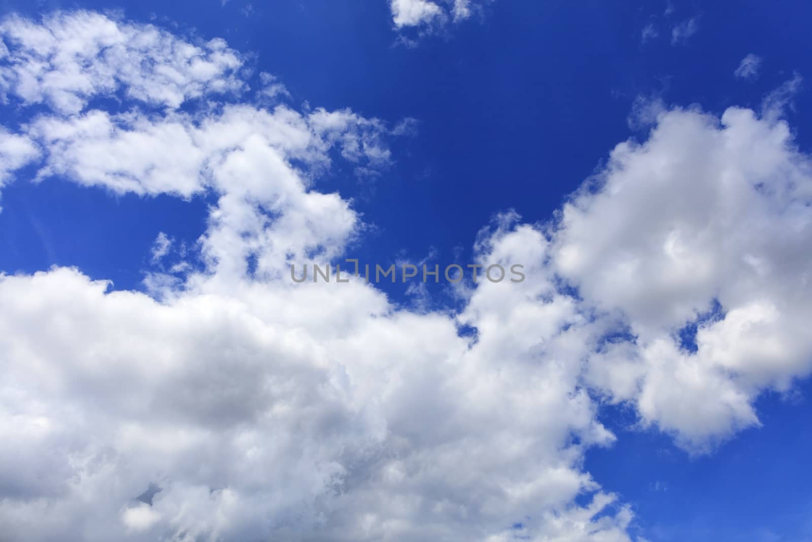 White lush clouds float in the bright saturated blue sky. by Sergii