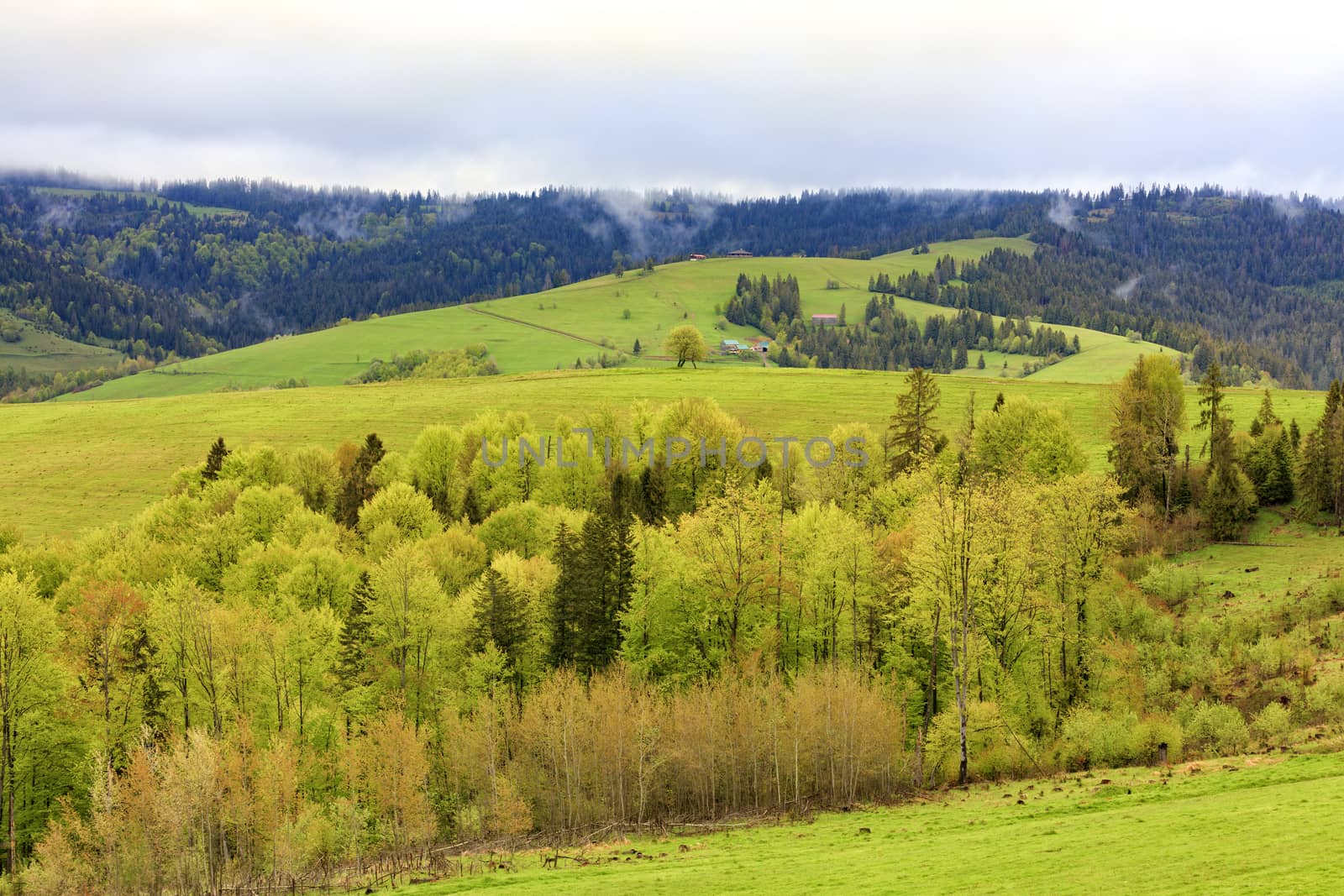 Beautiful view of the spring Carpathians from a height. On the top of the hill there are several rural huts, and the valley is overgrown with young deciduous trees.