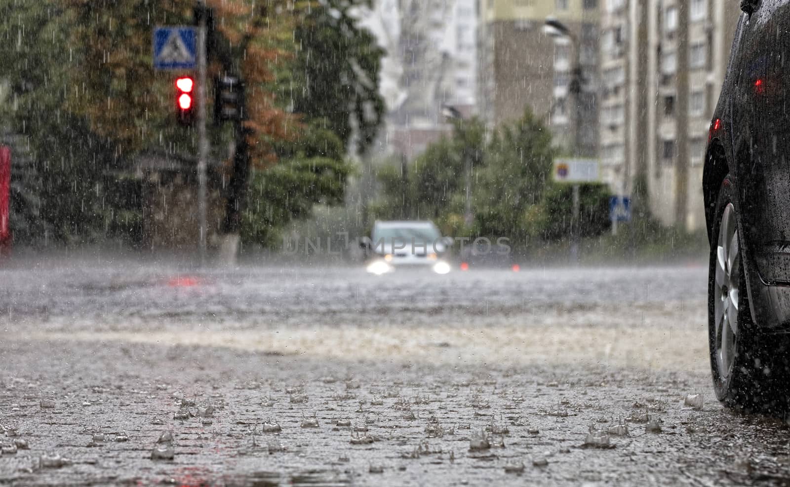 Torrential rain on the road and on the sidewalk watering cars standing at the crossroads. by Sergii