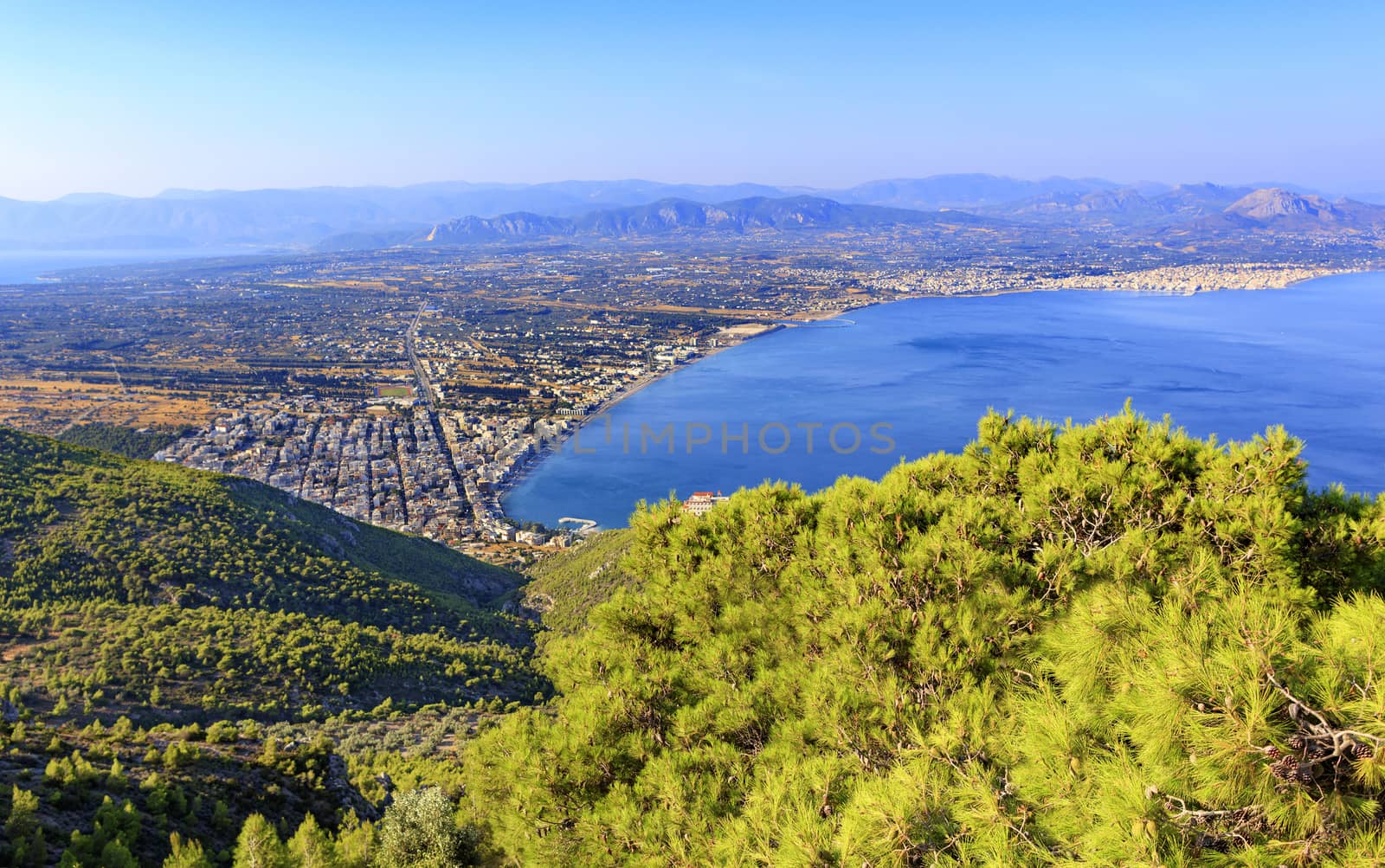 Beautiful fluffy spruce branch with cones in bright sunlight against the backdrop of the city of Loutraki and the blurry sea of the blue Corinthian Gulf in Greece from a bird's eye view.