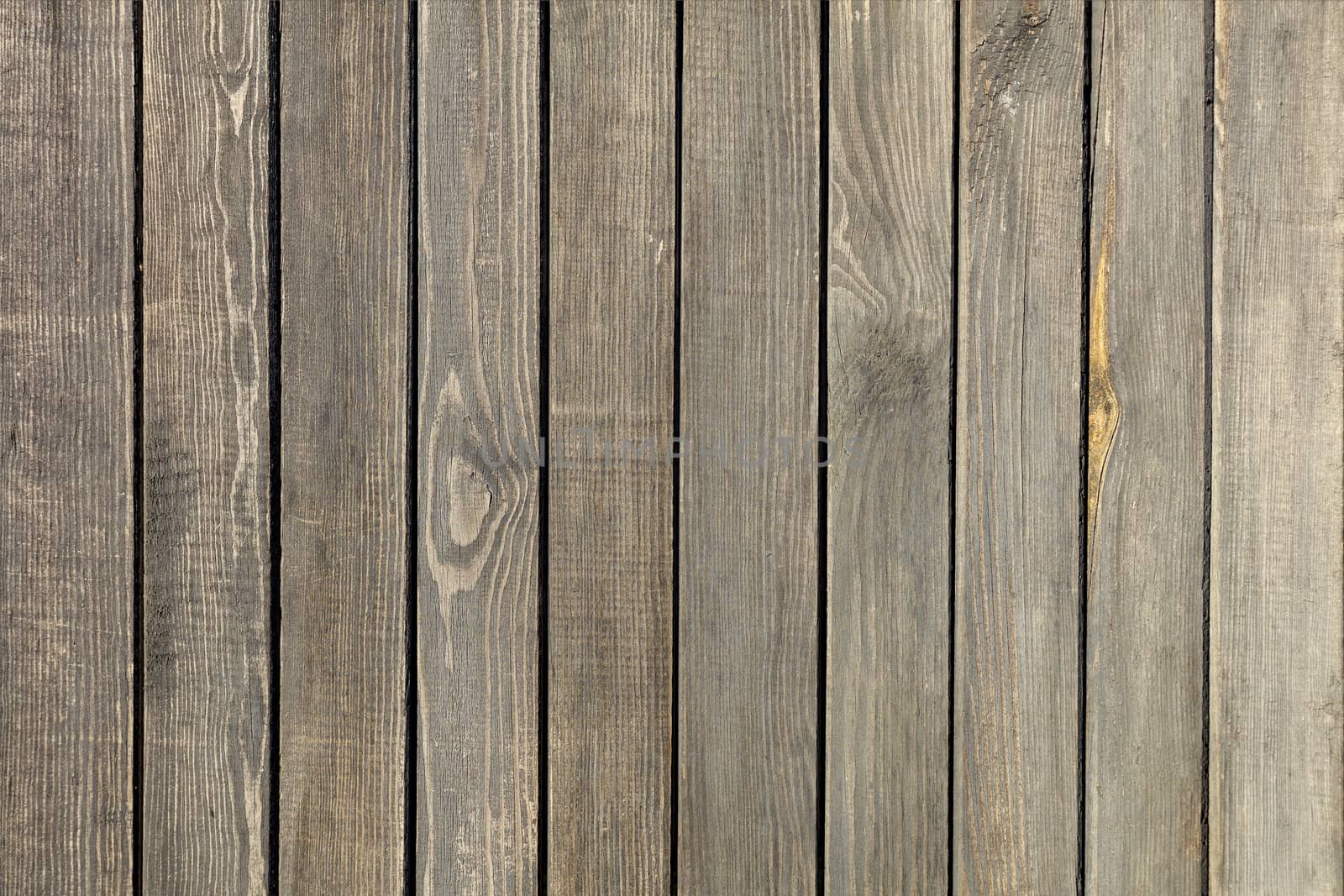 Weathered old gray wooden fence close-up. by Sergii