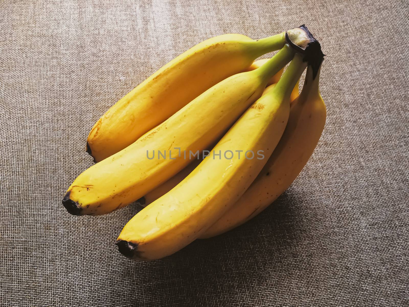 Organic bananas on rustic linen background, fruits farming and agriculture