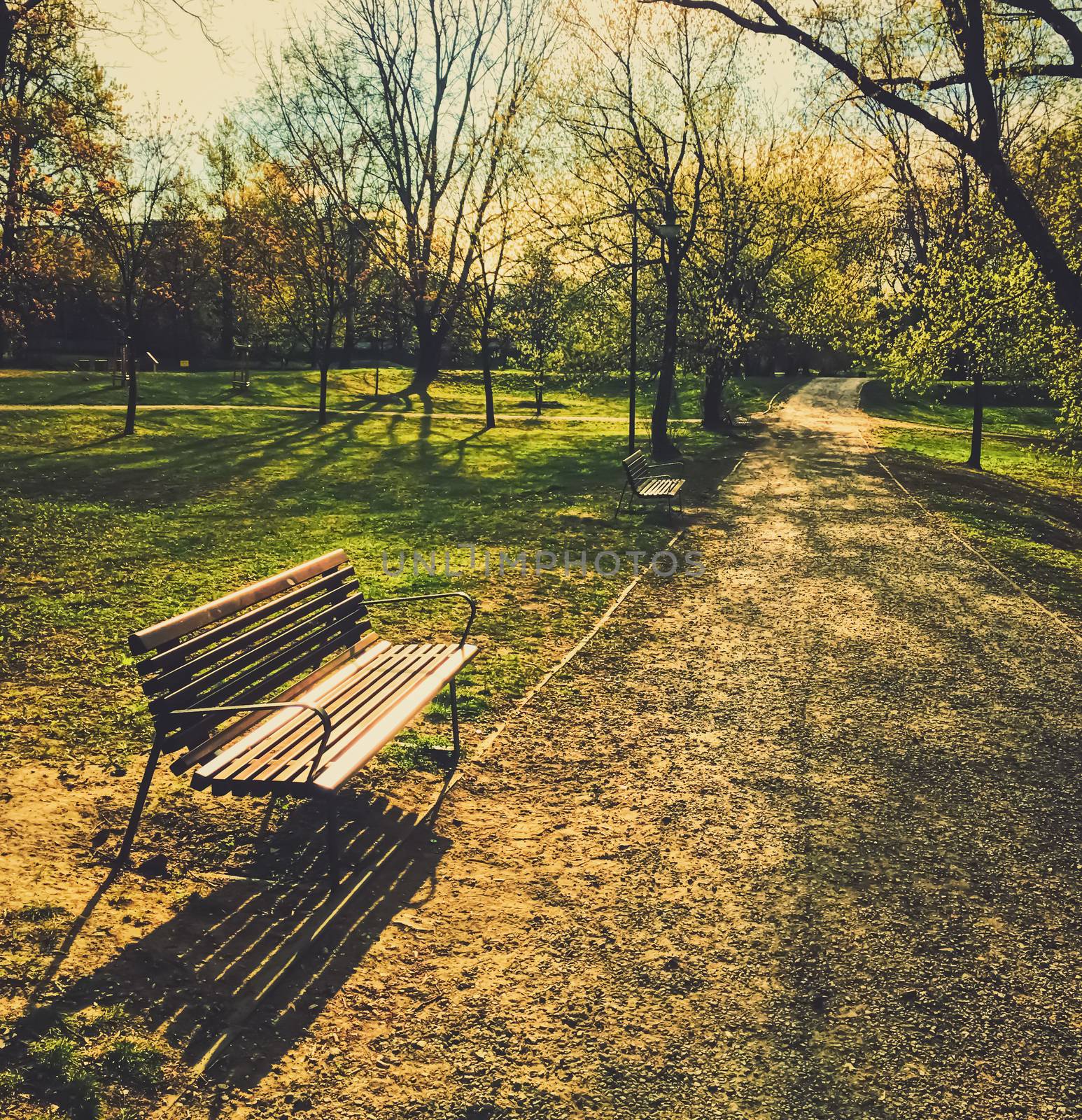 Empty bench in park during a city lockdown in coronavirus pandemic by Anneleven