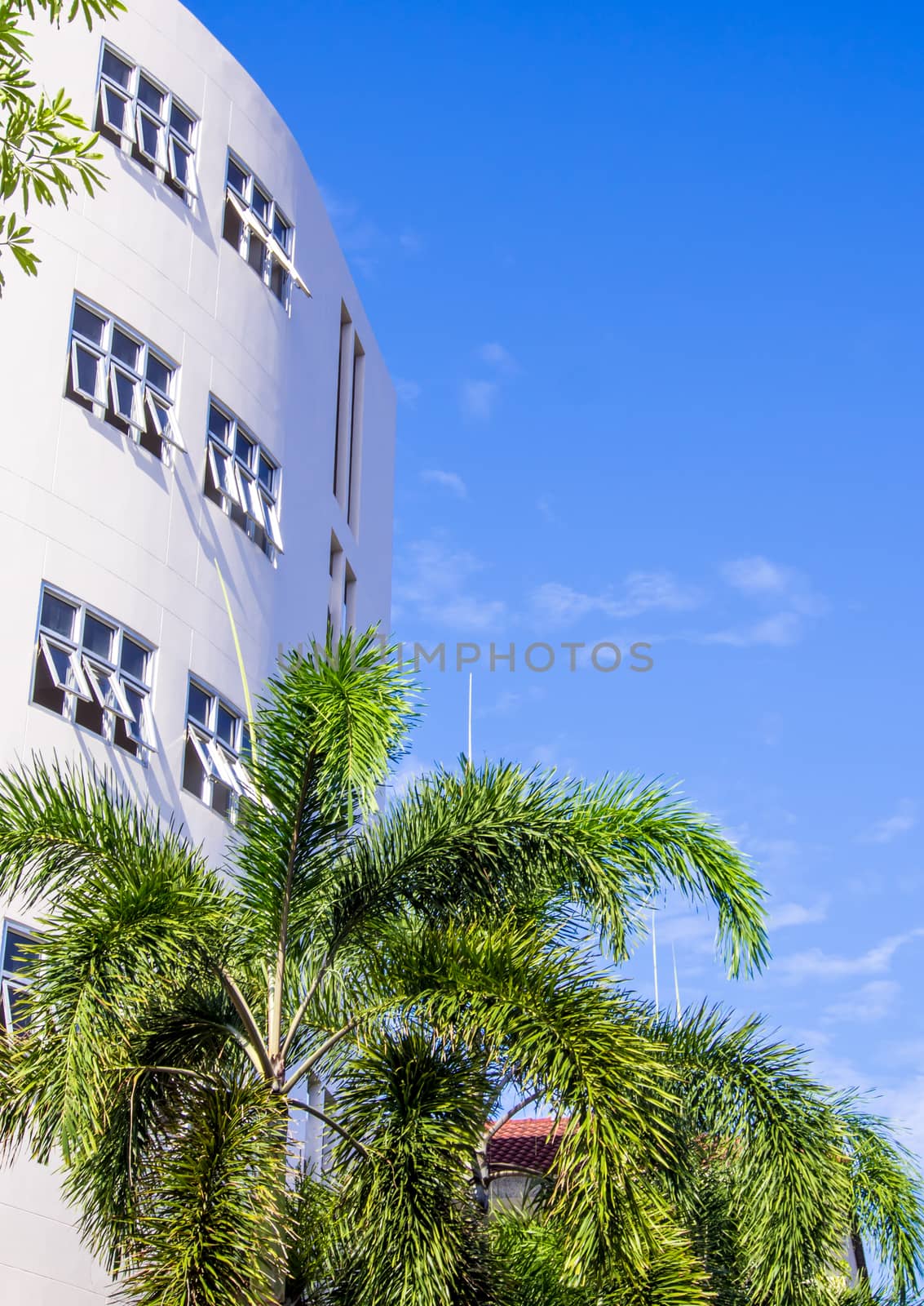 blue sky with white building and the palm tree by Satakorn