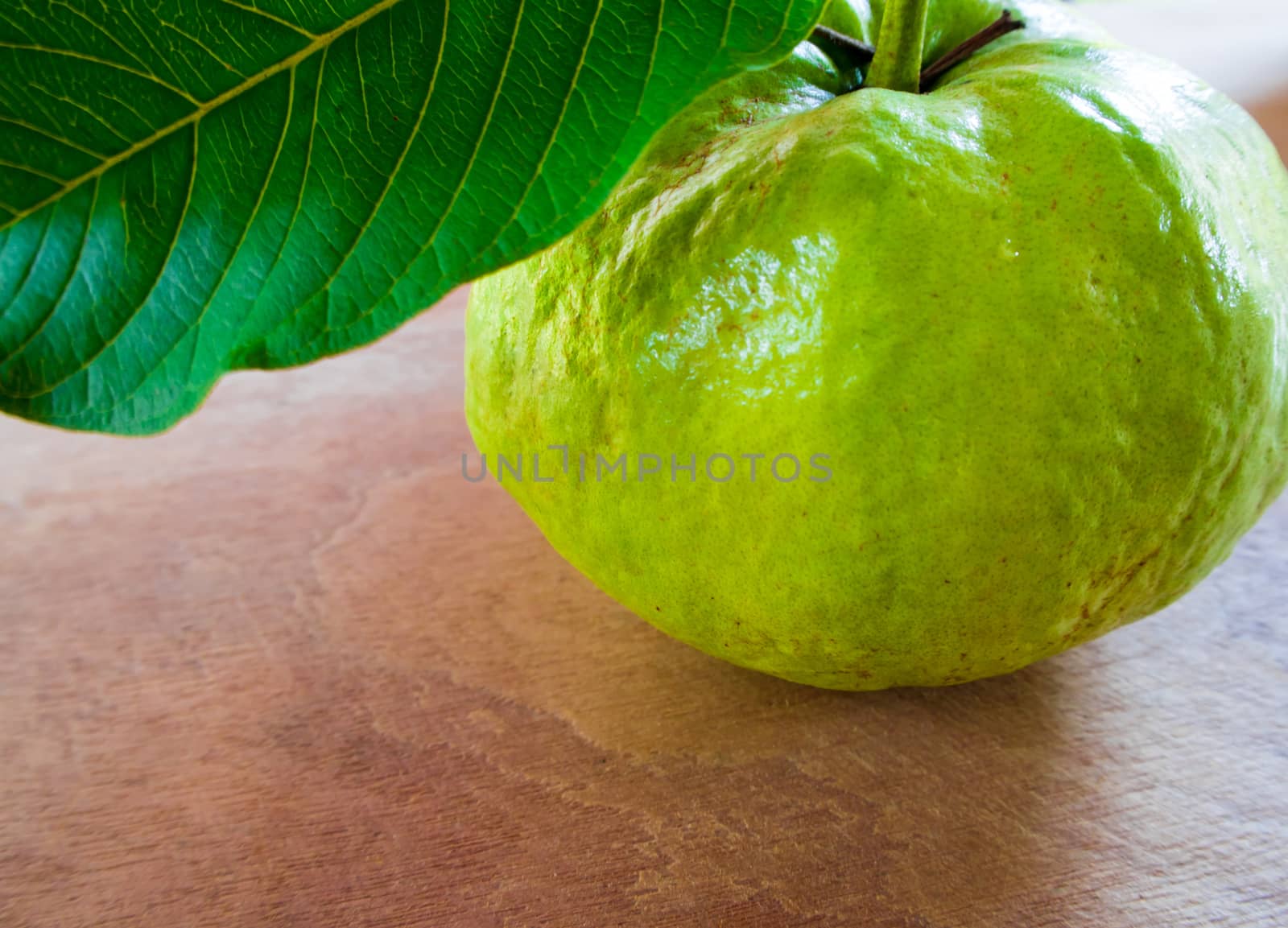 Close up freshness green guava, the tropical fruit on wooden board