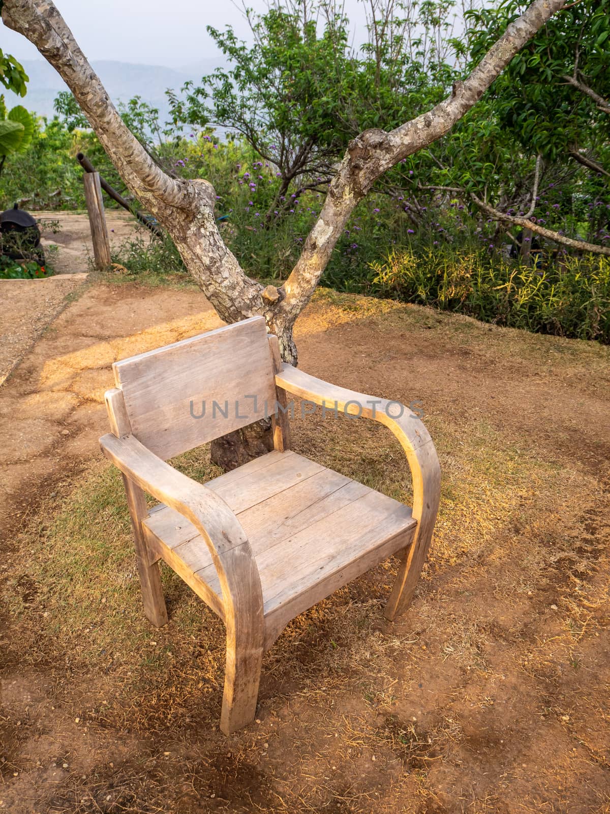 table and chairs standing on a lawn at the garden