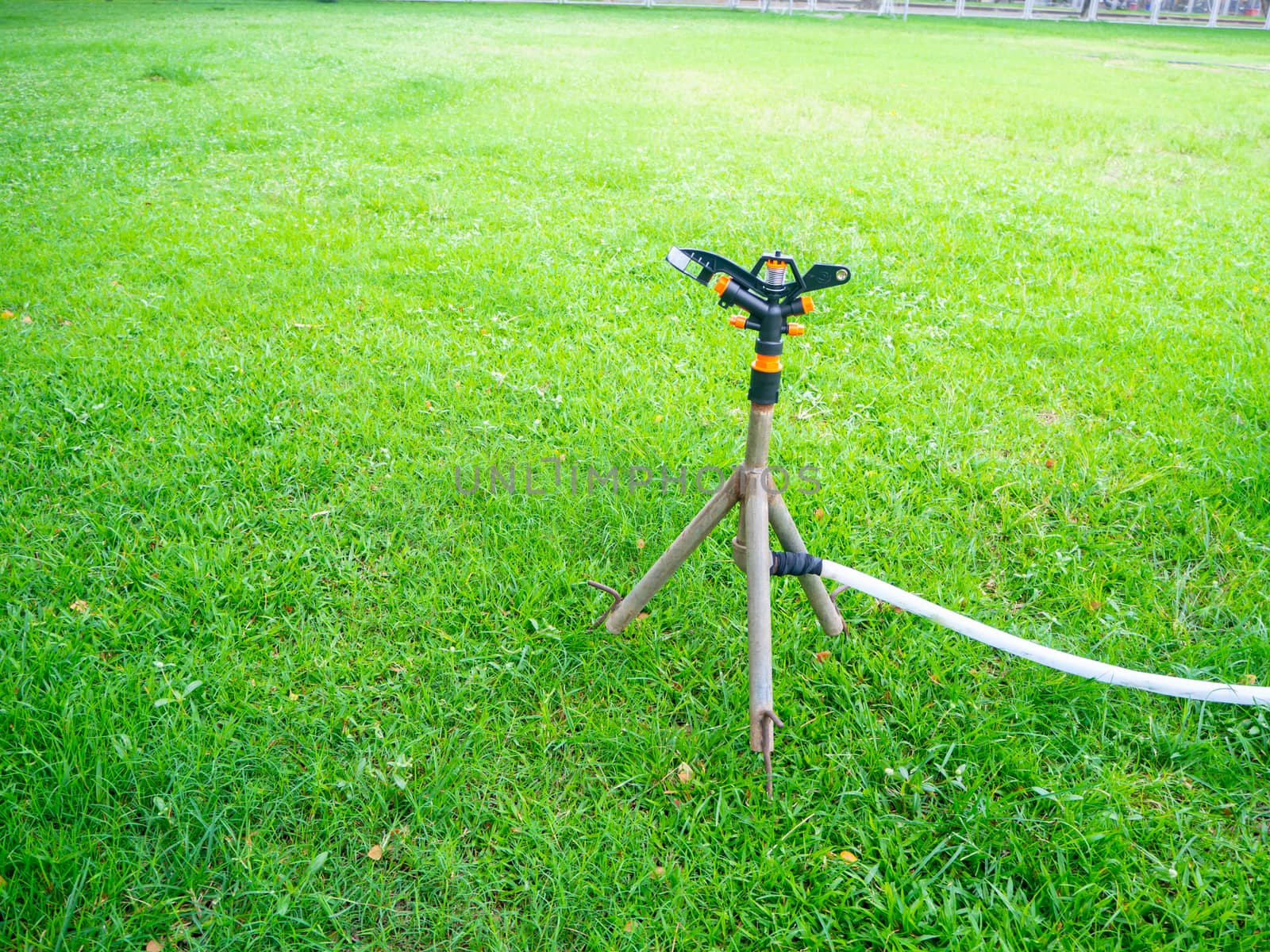 Watering plants and lawns in the garden is the selective focus of Springer.