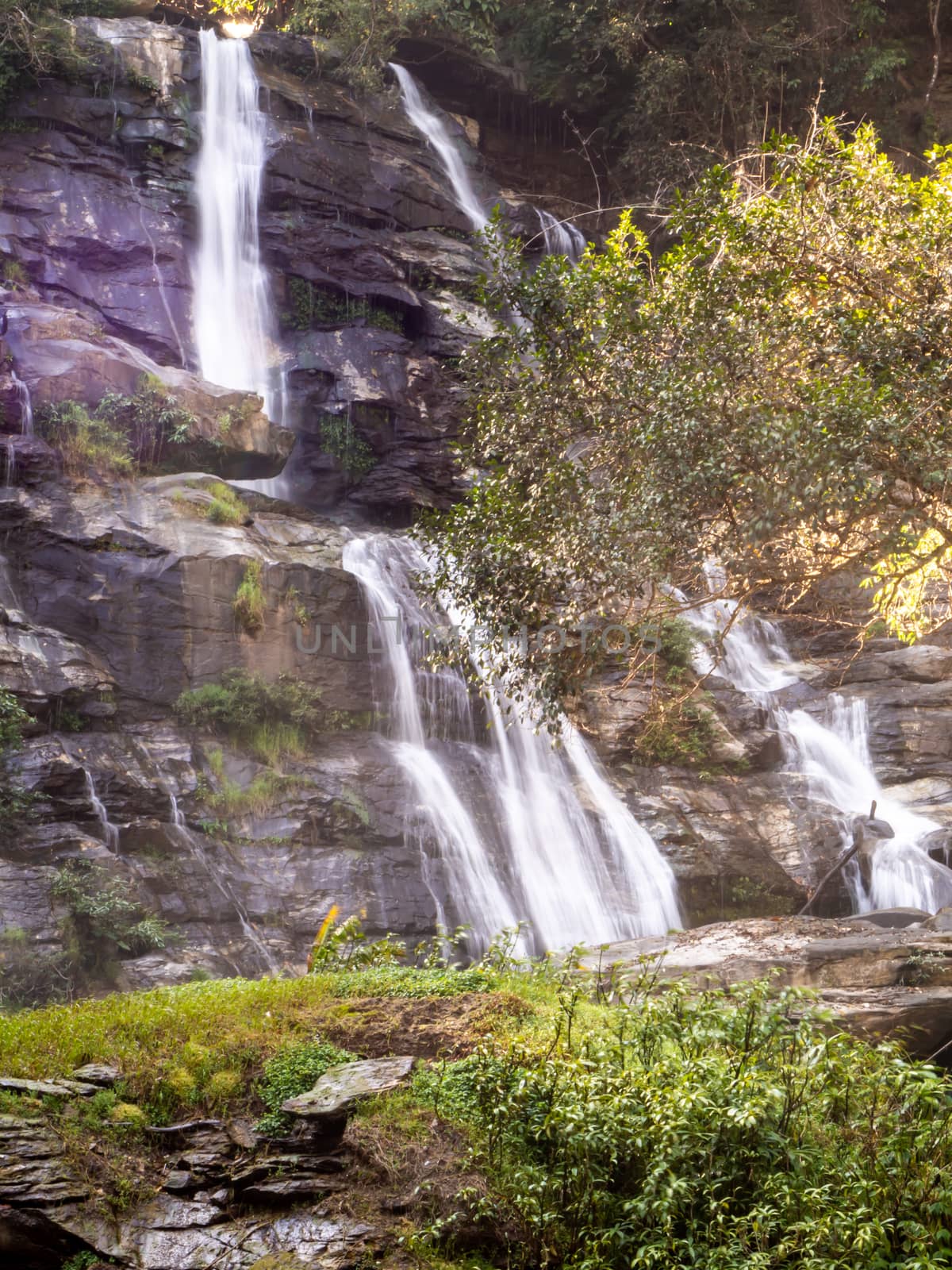 The Waterfall green forest river stream landscape