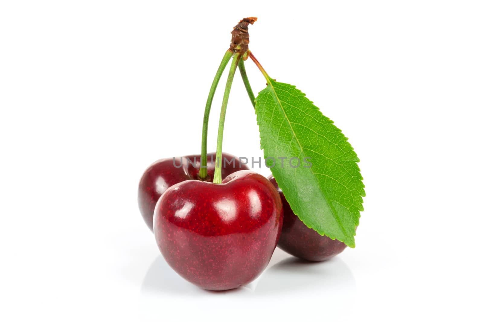 Three ripe cherries with leaf isolated on a white background in close-up