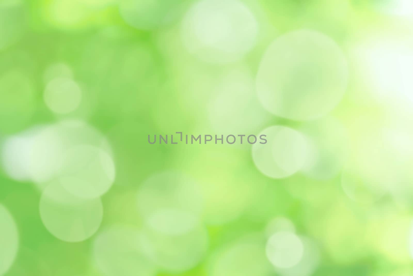 Beautiful abstract green nature and eco friendly background with bokeh lights effect.