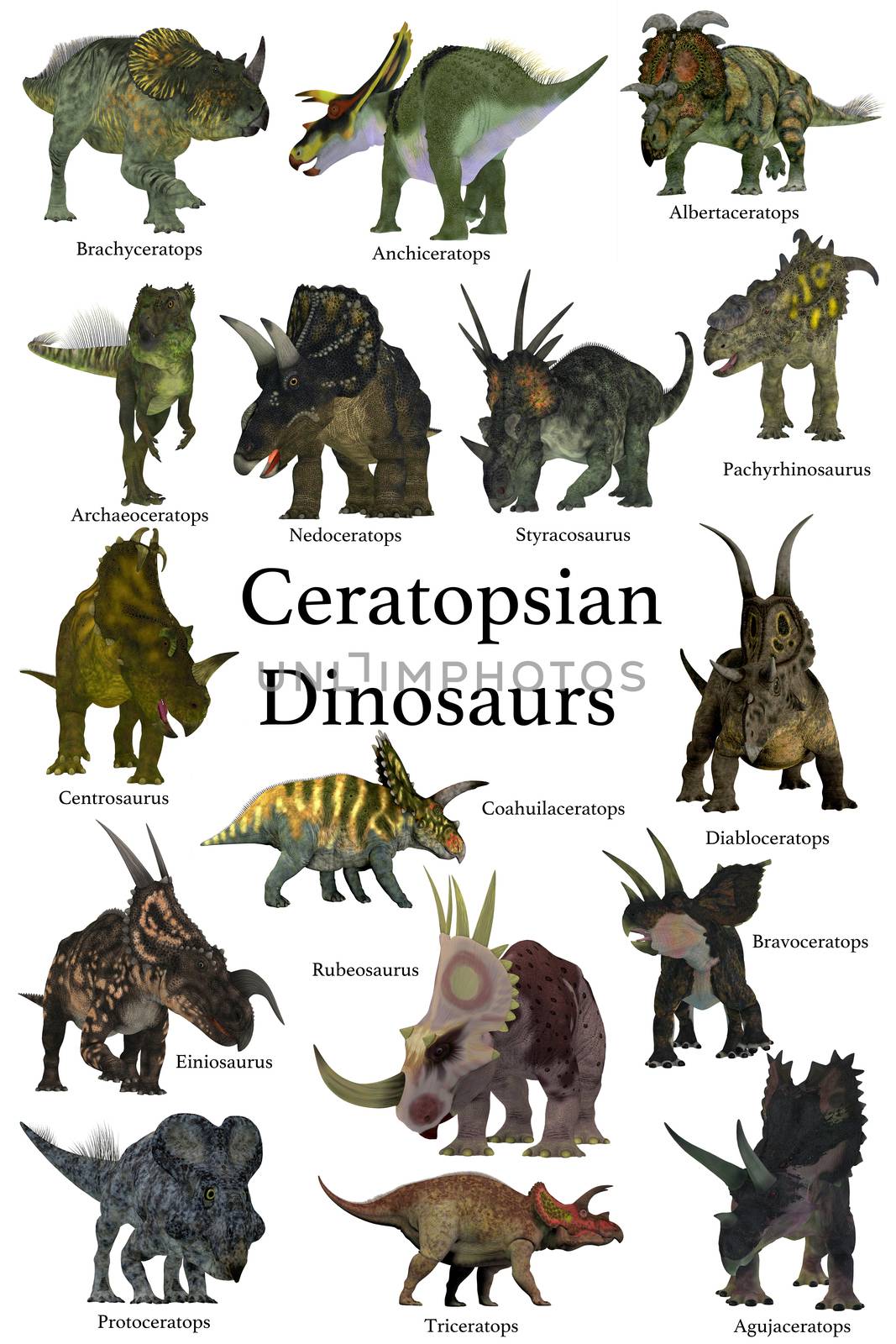 A collection set of Ceratops beaked dinosaurs from the Cretaceous Period of the world's history of animals.