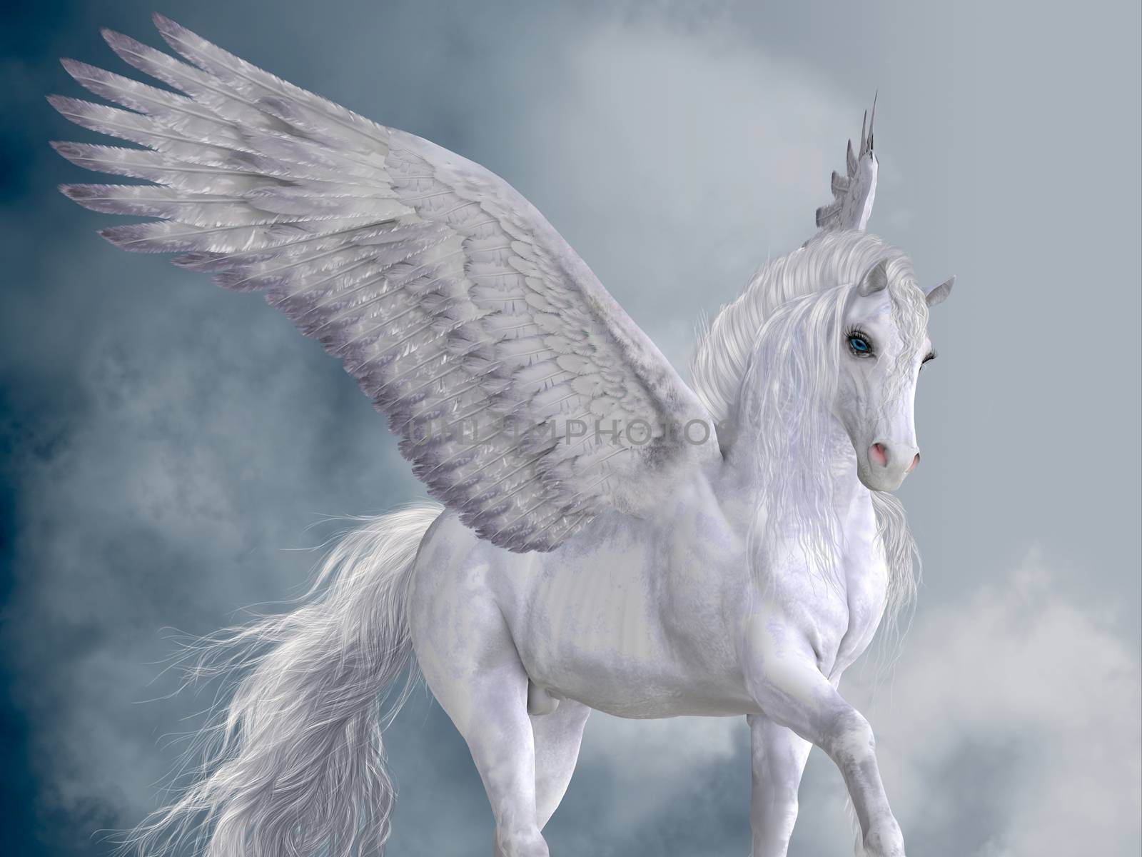 Marvelous White Pegasus by Catmando