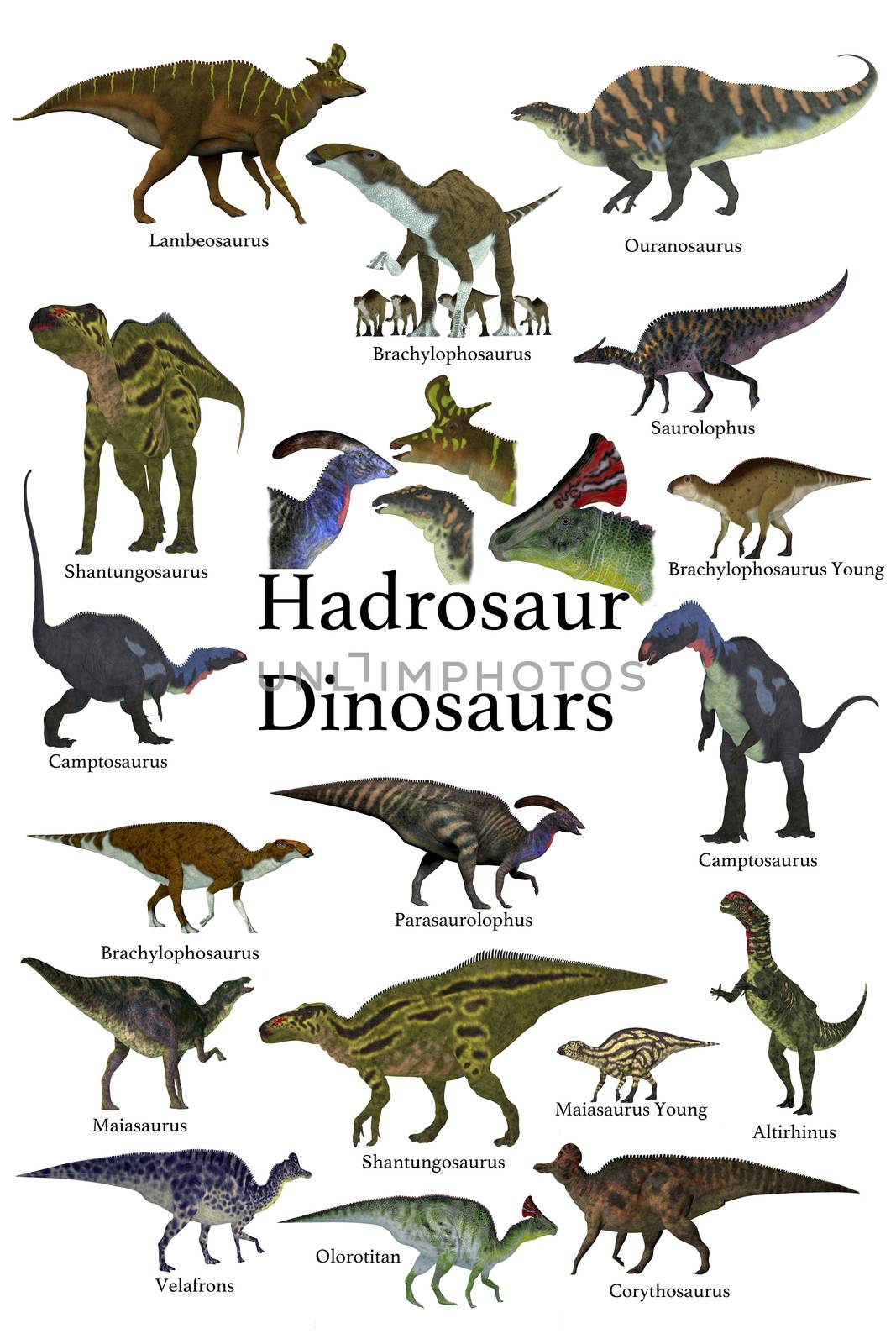 Hadrosaur Dinosaurs by Catmando