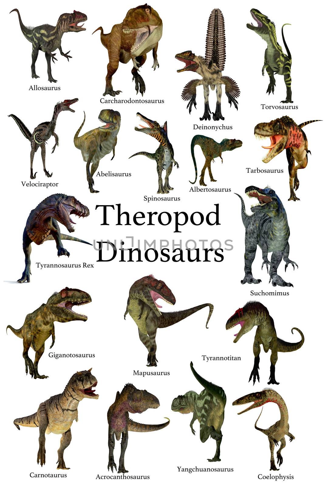 A collection set of Theropod carnivorous dinosaurs from the Cretaceous, Jurassic and Triassic Periods.