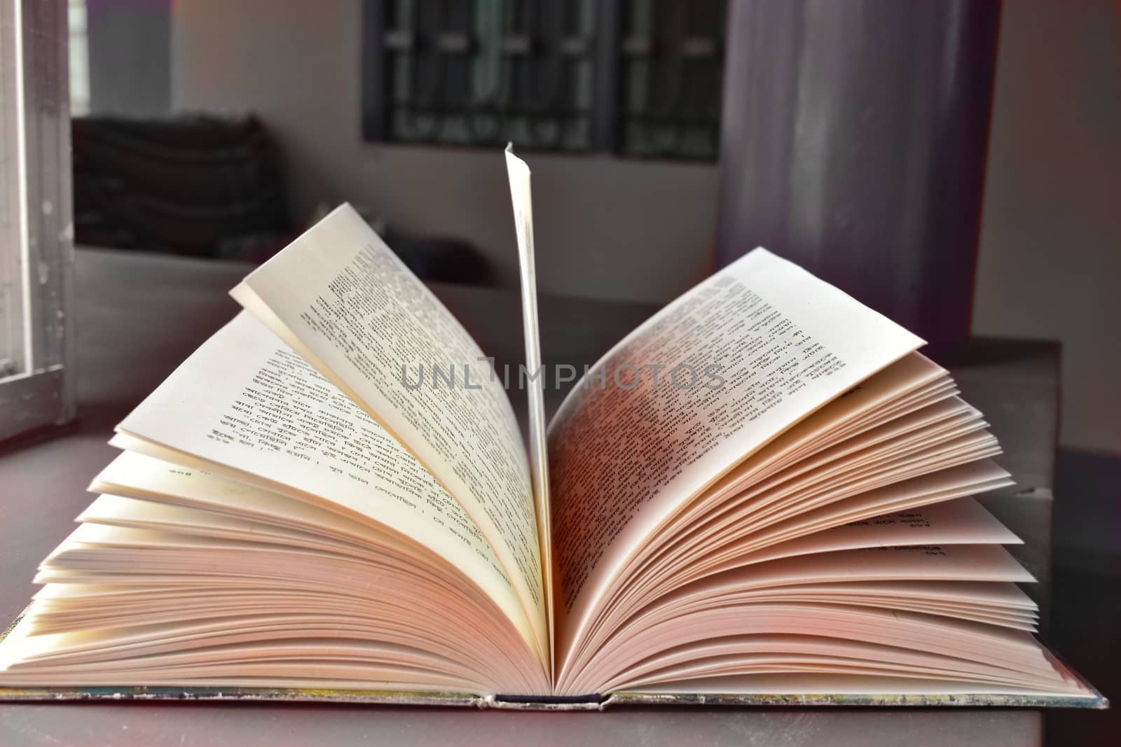 An open book of bengali novels in front of monochrome background. The clump of middle pages are turning with wind