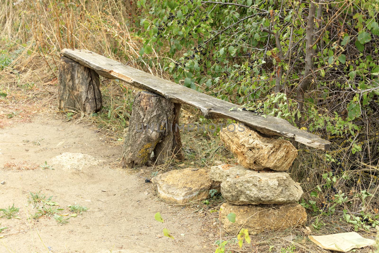 A very old wooden bench, green bushes, trees, dry grass, in the Ukrainian rock garden.