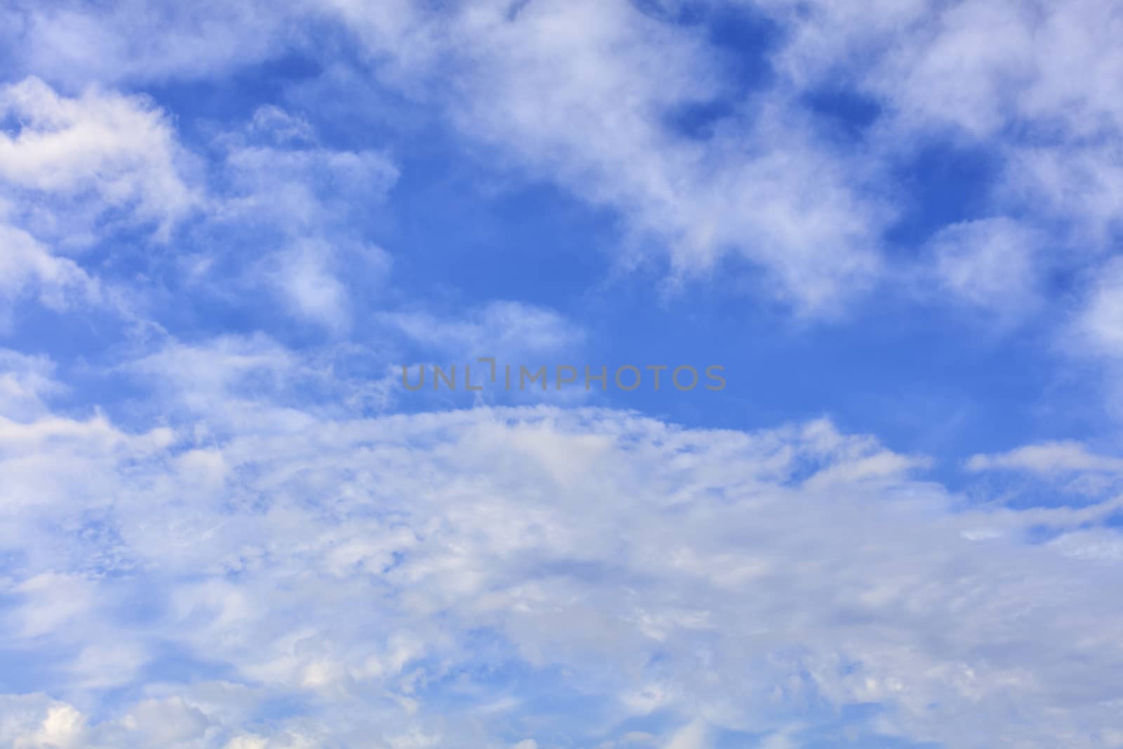 White lush and cheerful clouds float in the bright saturated blue sky. by Sergii