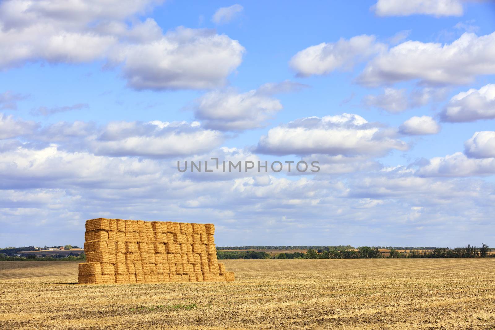 A large stack of straw against the background of a wide field and blue cloudy sky after harvest. by Sergii