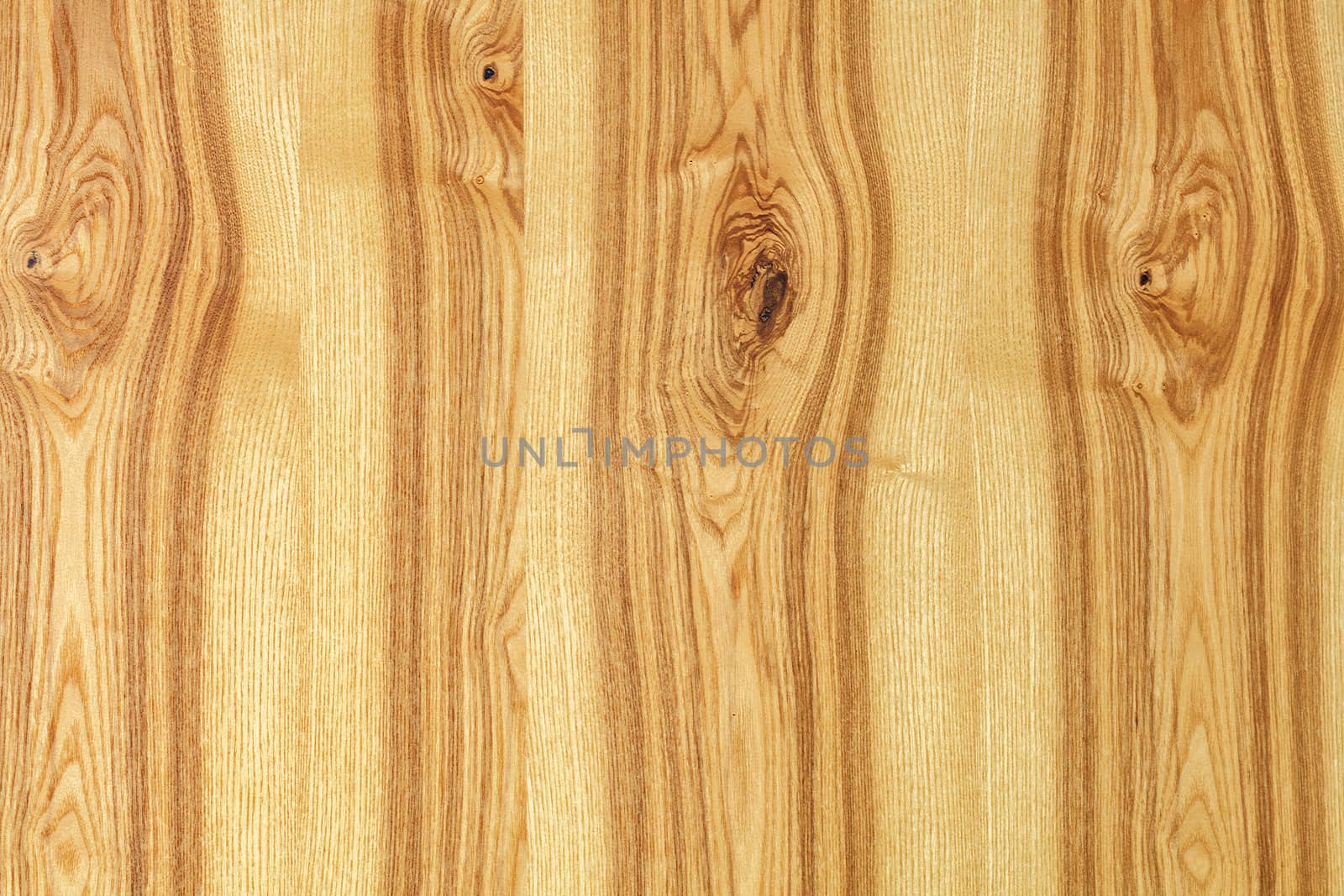 A beautiful pattern cut of a tree in the form of a new smooth wooden veneer with vertical guides.
