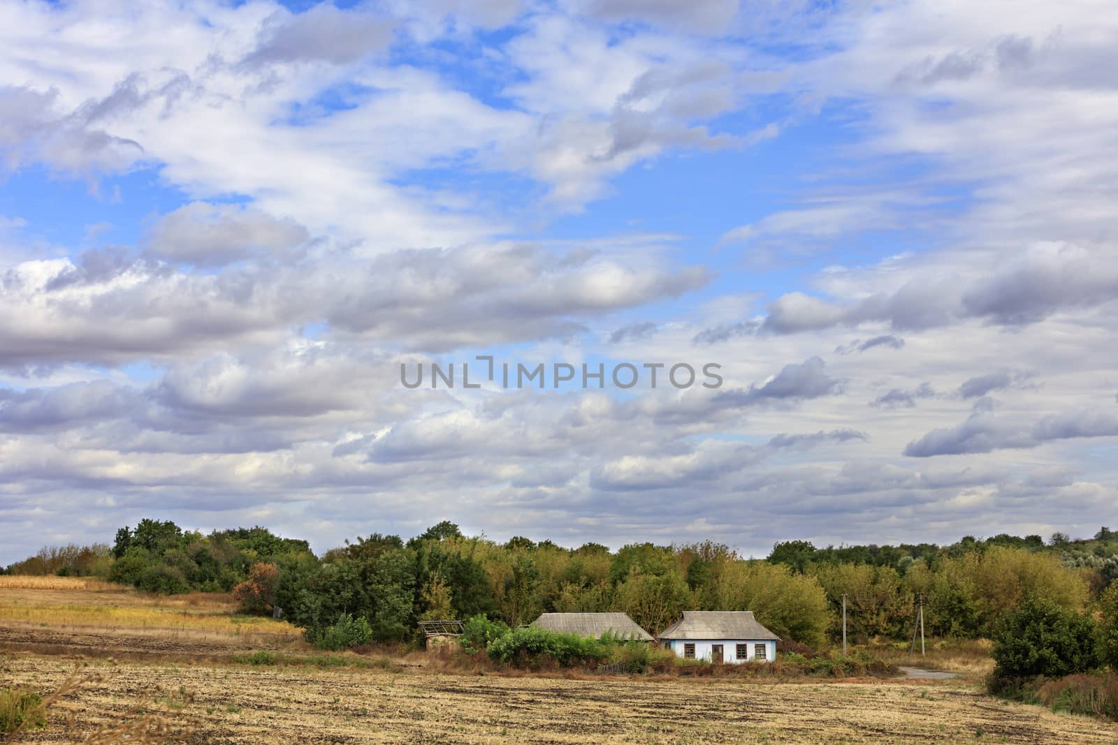 An abandoned rural house stands on the side of a rural road at the edge of a field under a cloudy sky. by Sergii