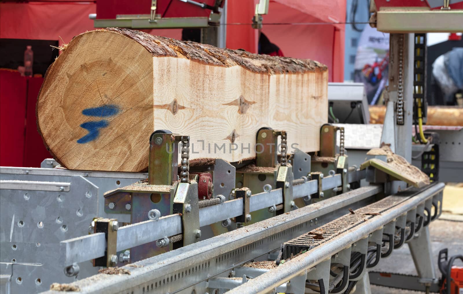 Woodworking, lumber, a large pine log is fixed on the flyover of a modern automatic sawmill.