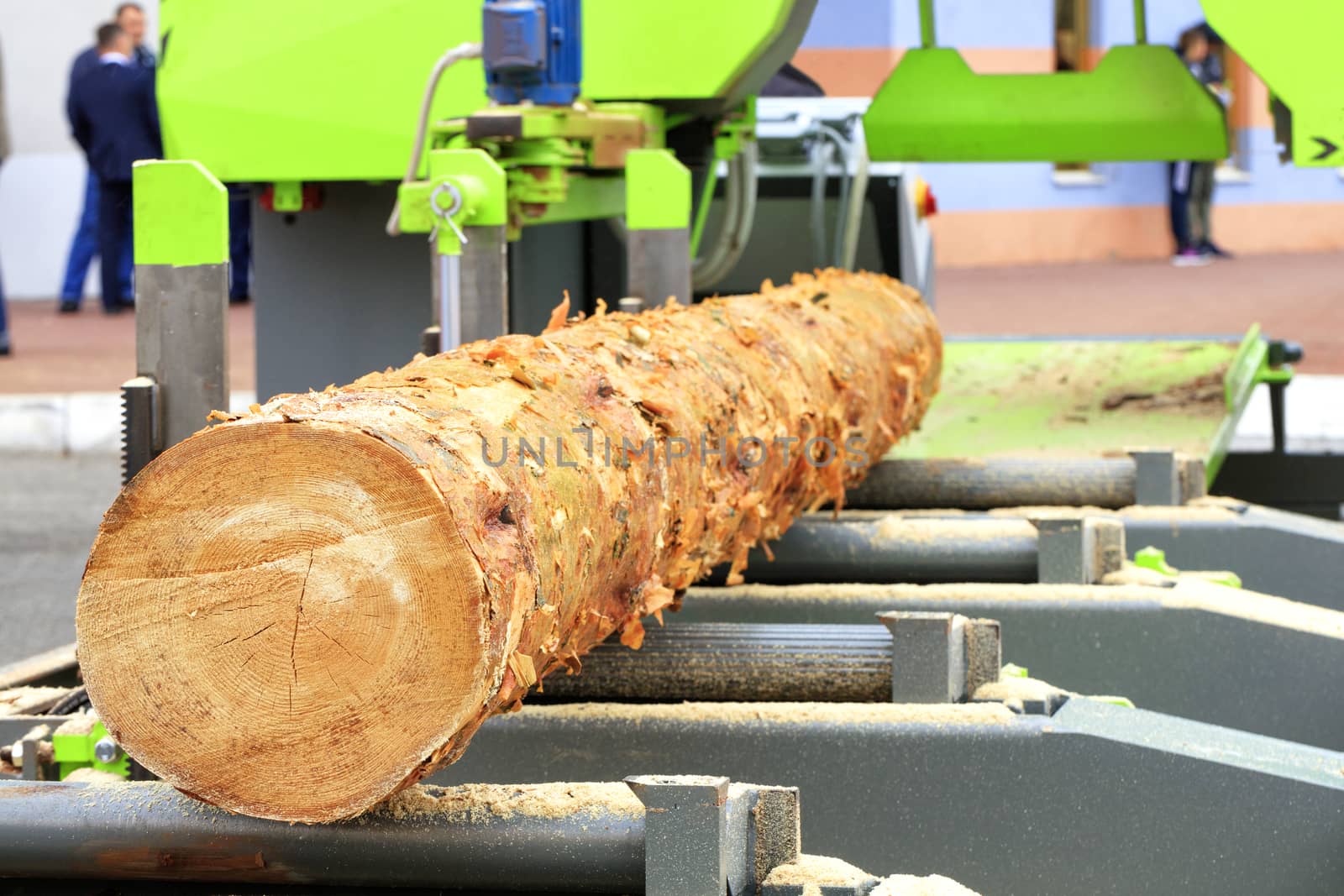 Woodworking, lumber, pine boards will be made from large logs at a modern automatic sawmill.