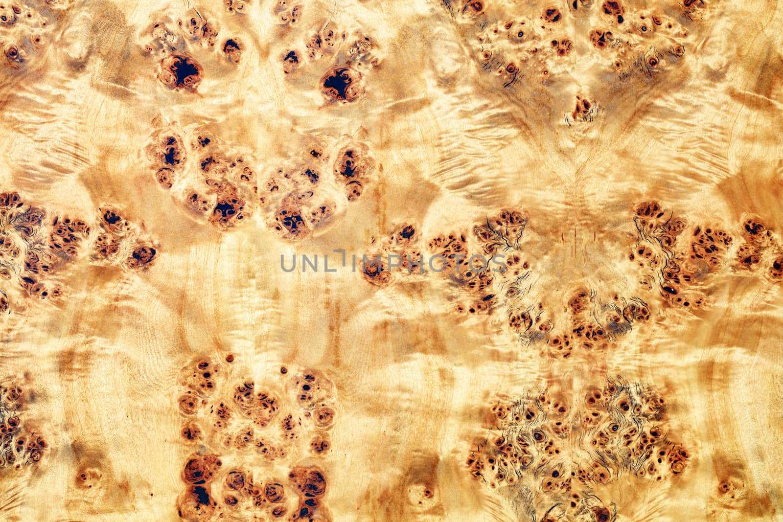 Beautiful veneered wooden veneer background with leopard prints.