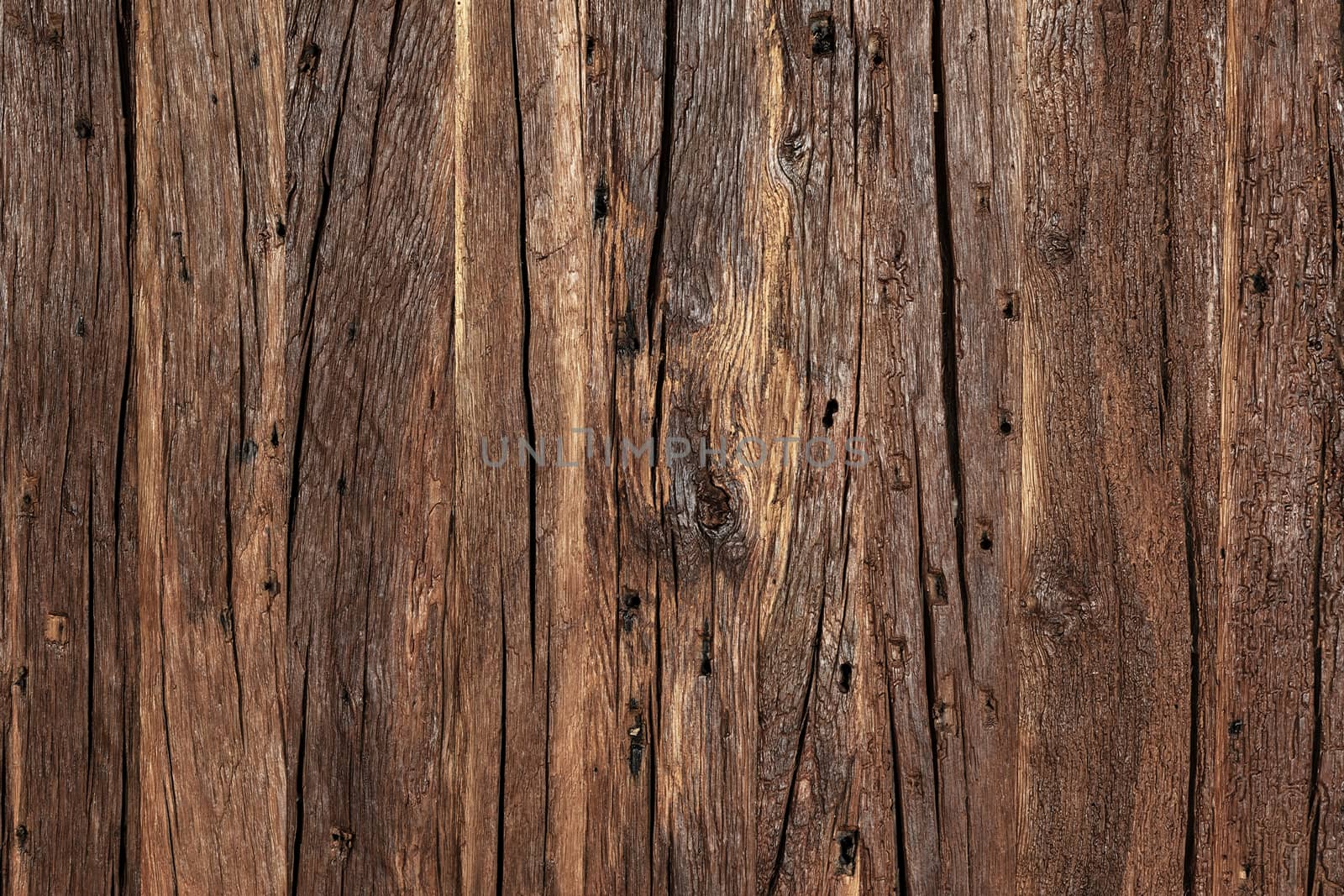 Texture and background of a very old brown wood. by Sergii