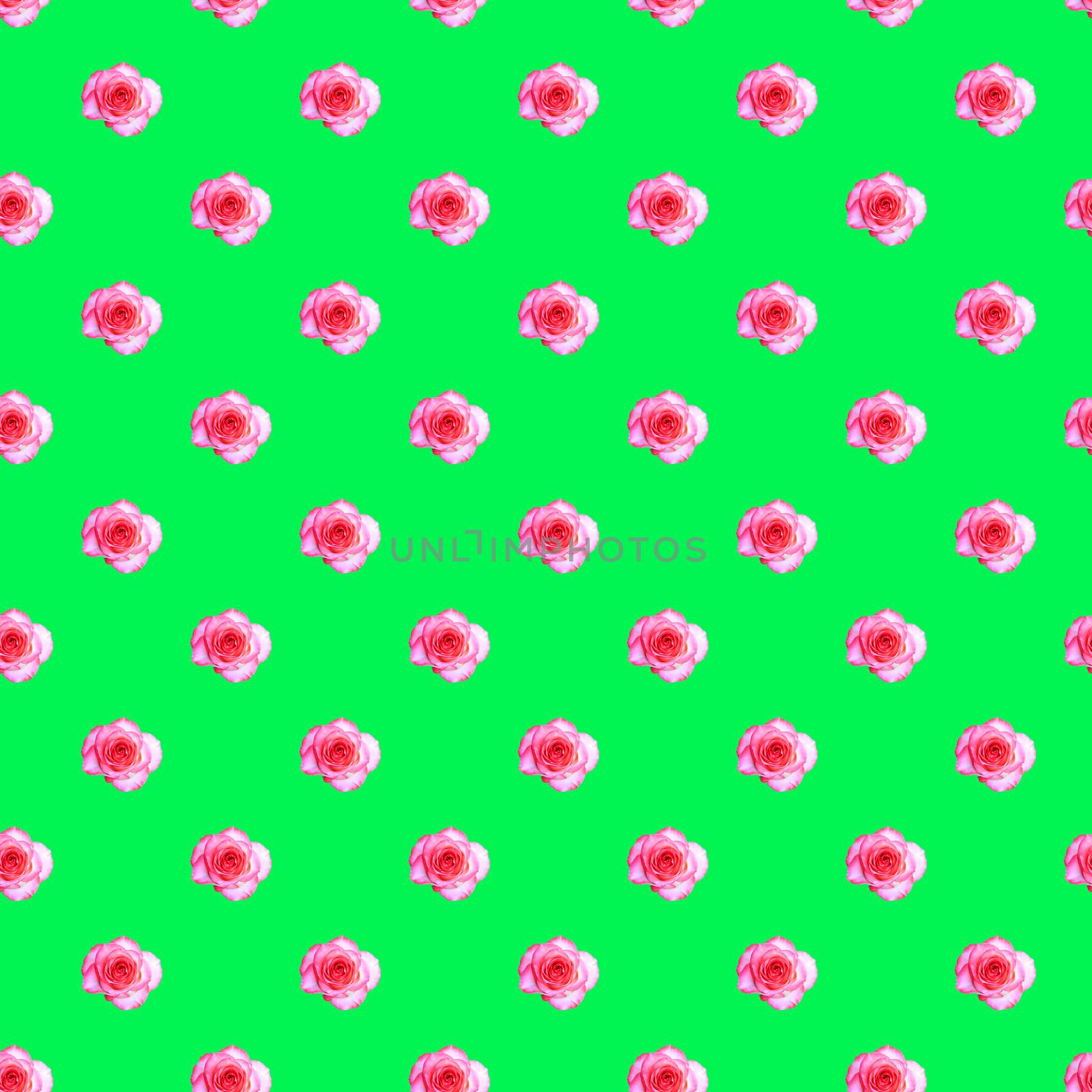 Seamless pattern with blooming rose bud on a light green background. Modern style isometric concept.