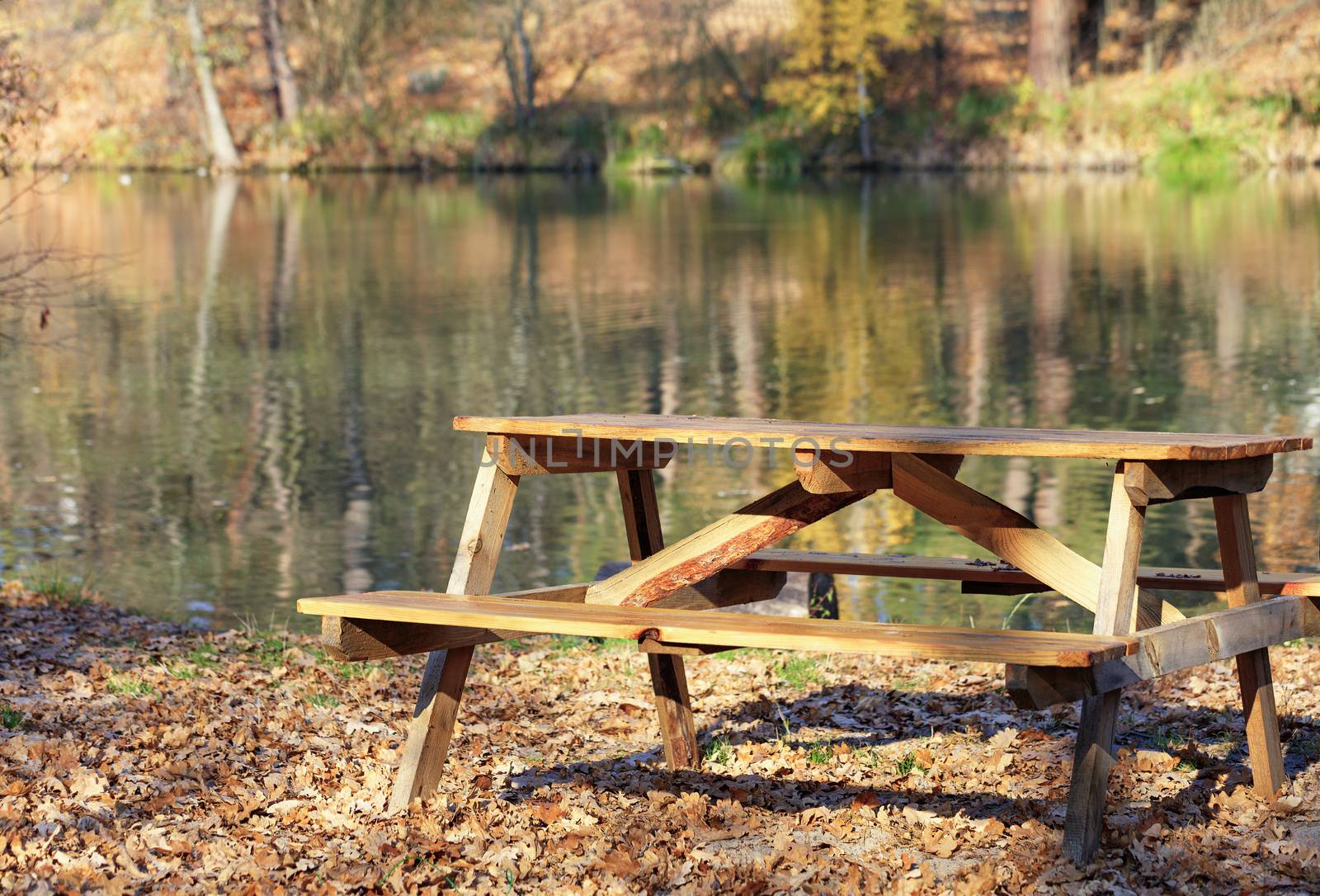 Wooden table with picnic benches in the open air on the background of fallen oak leaves near a forest lake. by Sergii