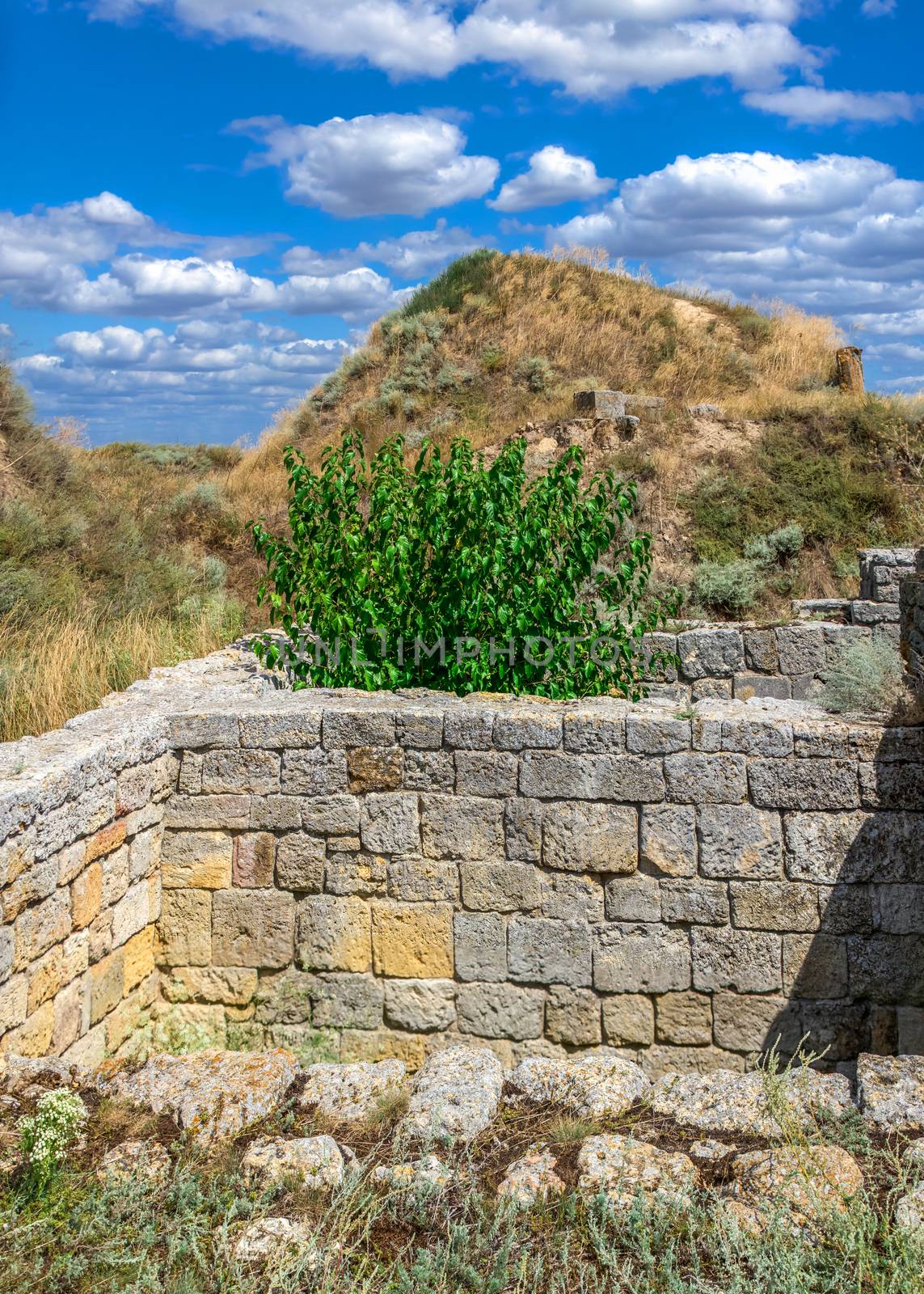 Ancient greek colony Olbia on the banks of the Southern Bug River in Ukraine on a cloudy summer day. Hi-res panoramic photo.