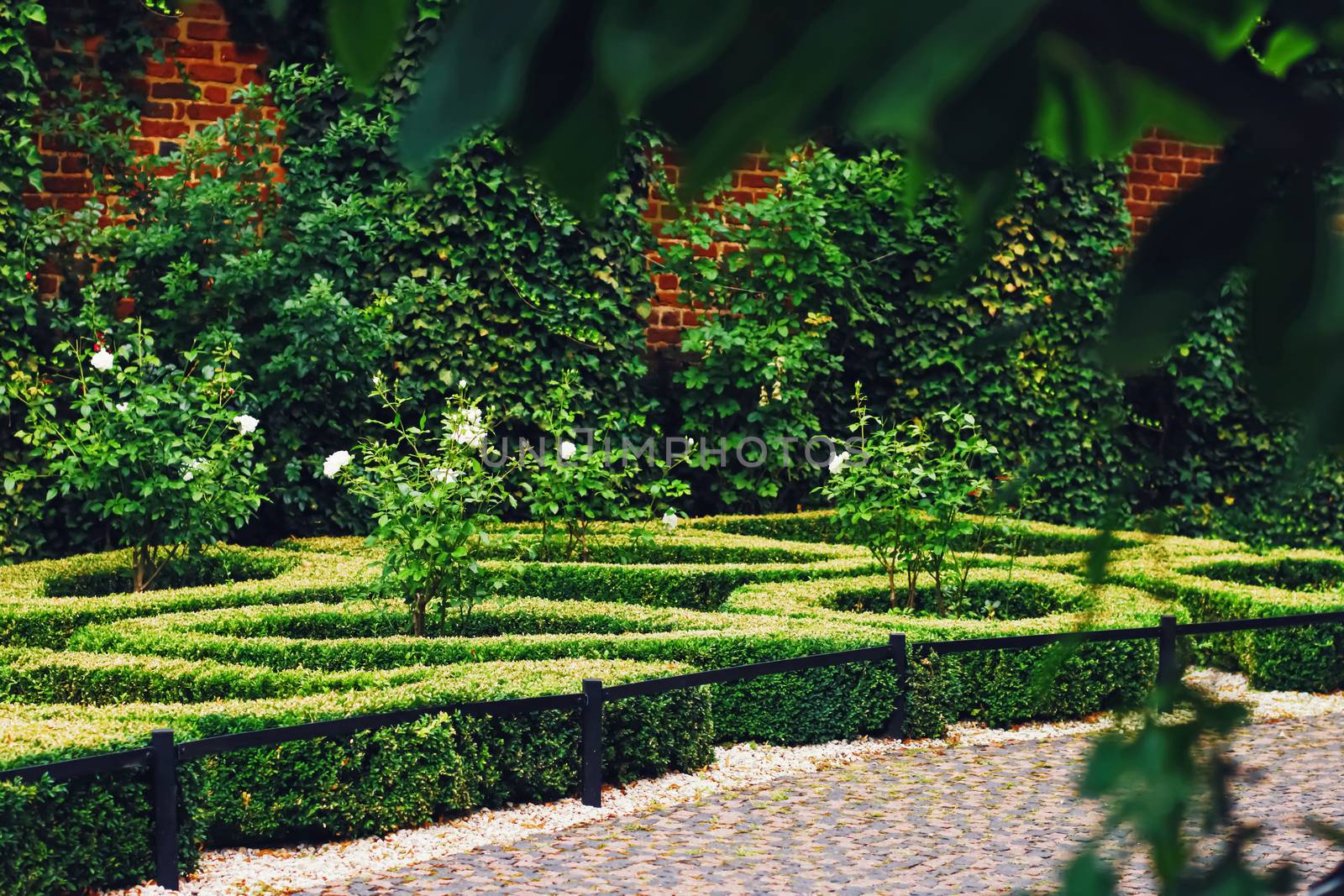 Green garden and landscape design in the city park, nature and outdoors