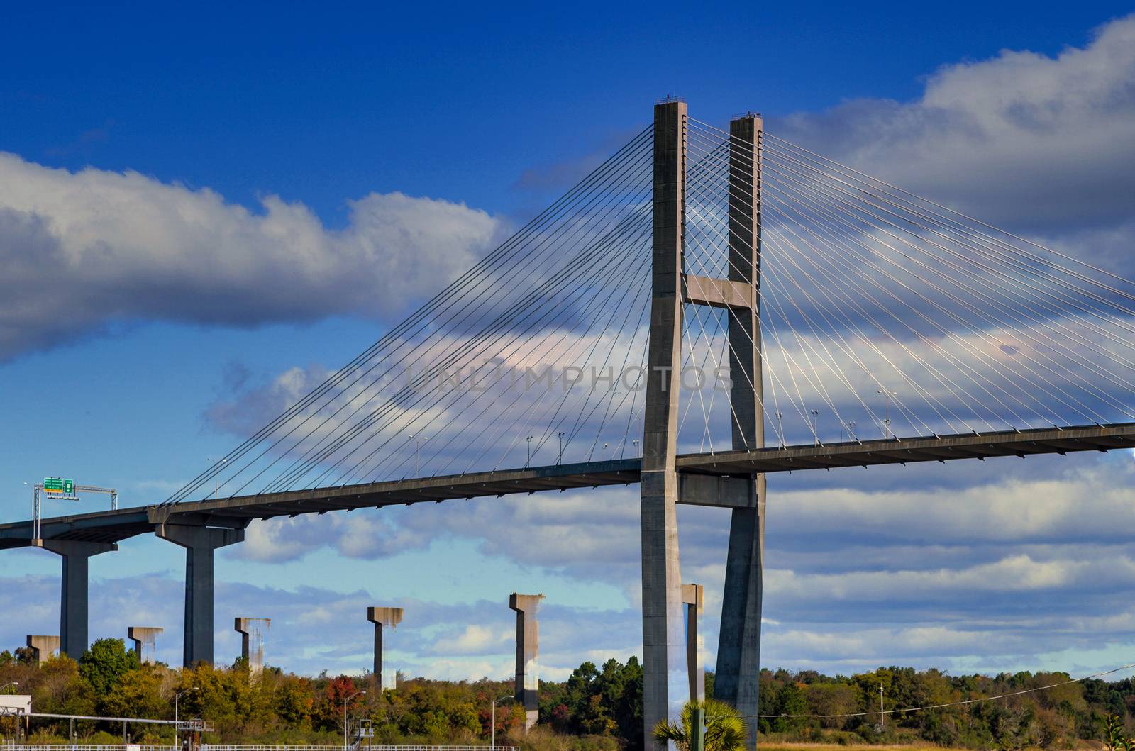 Suspension Bridge over the Savannah river in Georgia