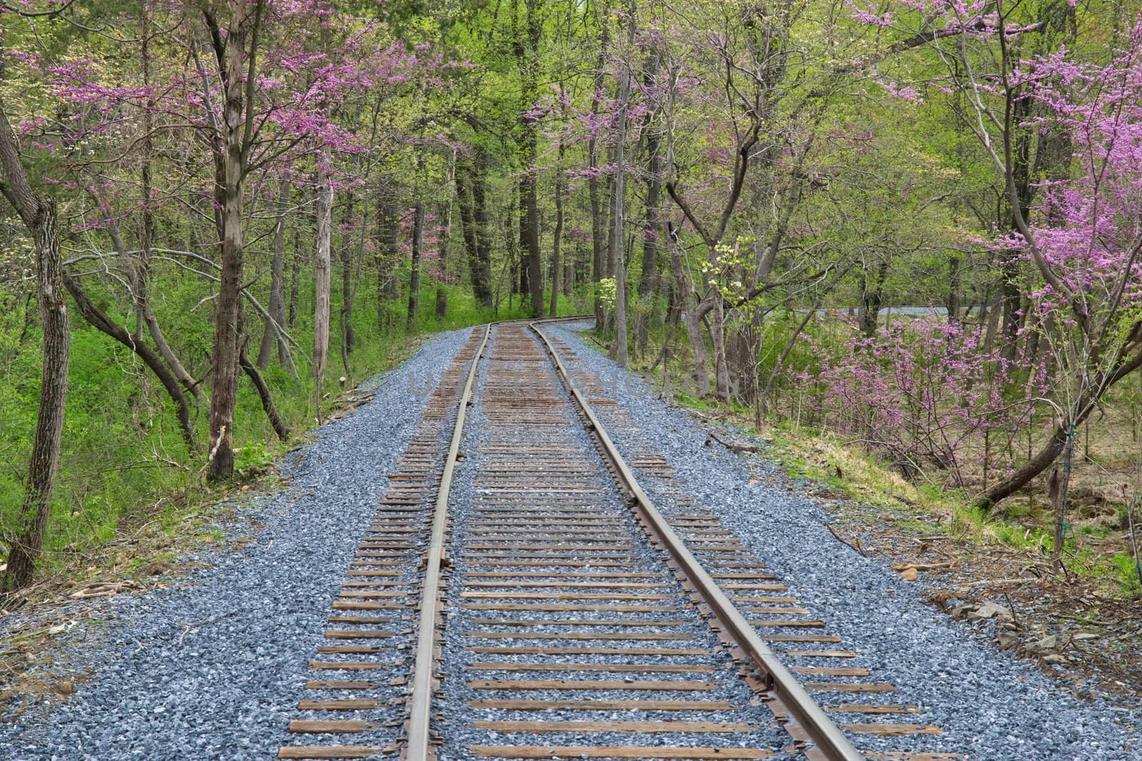 New Rail Road Track on 1830's Right of Way