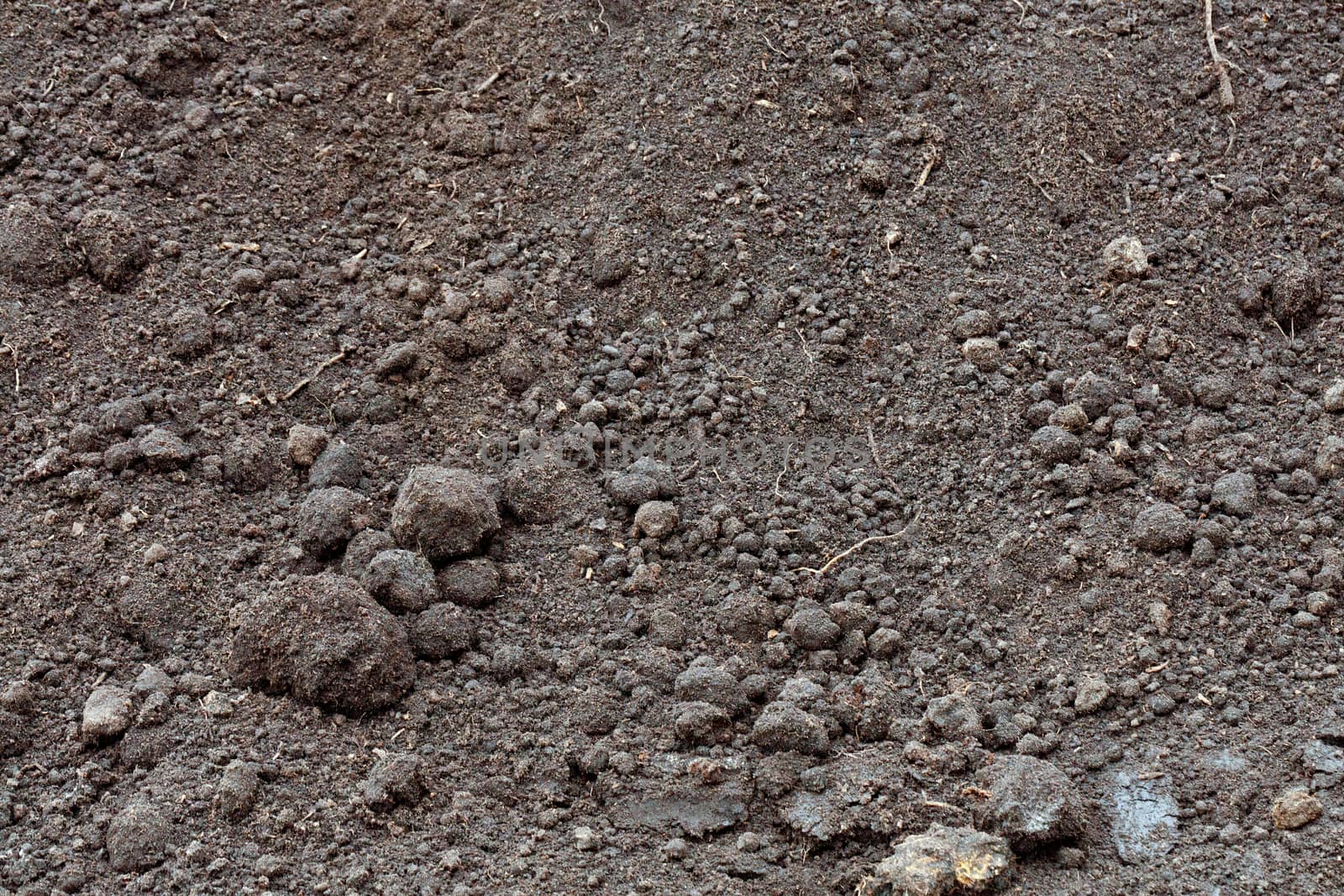 Fertile rough soil background and texture, top view. by Sergii