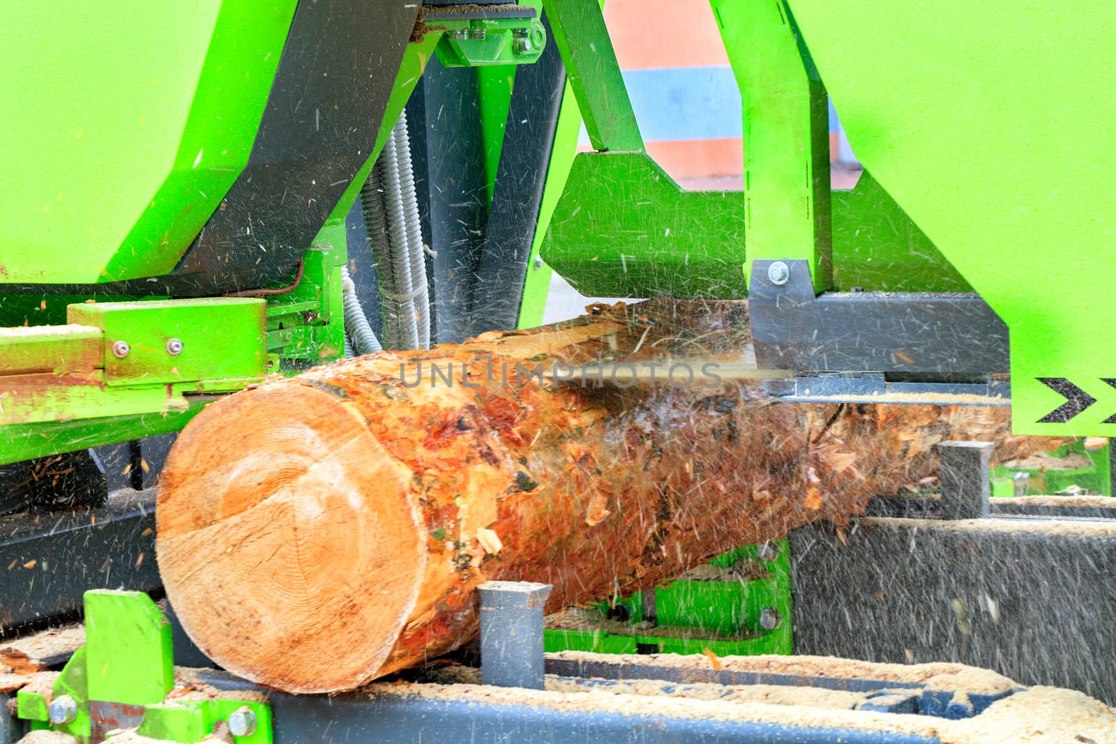 A large log is cut at a modern sawmill, woodworking industry. by Sergii