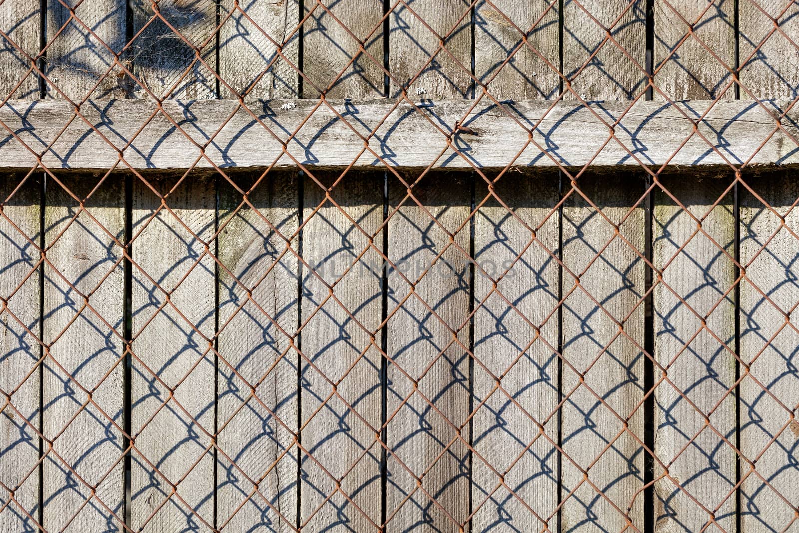 A weathered old gray wooden fence with a horizontal bar nailed by rusty nails stands behind a rusty metal mesh.