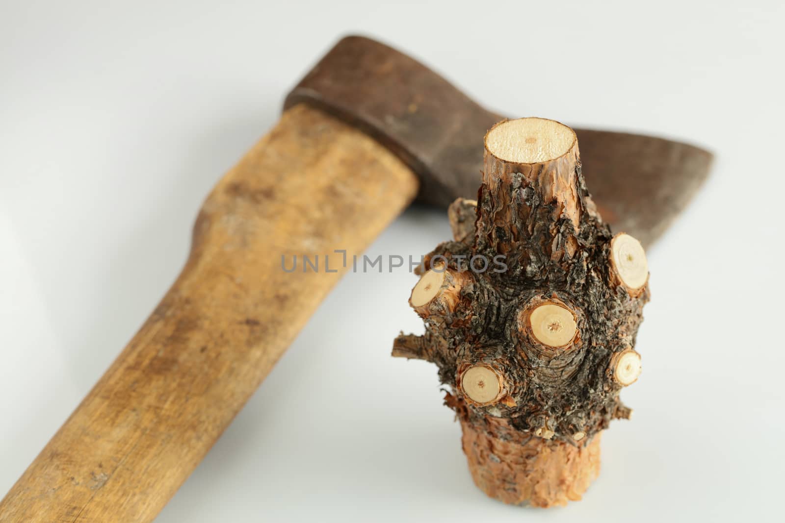 Nodal part of a tree trunk with cut branches and an old ax on a white background by Sergii
