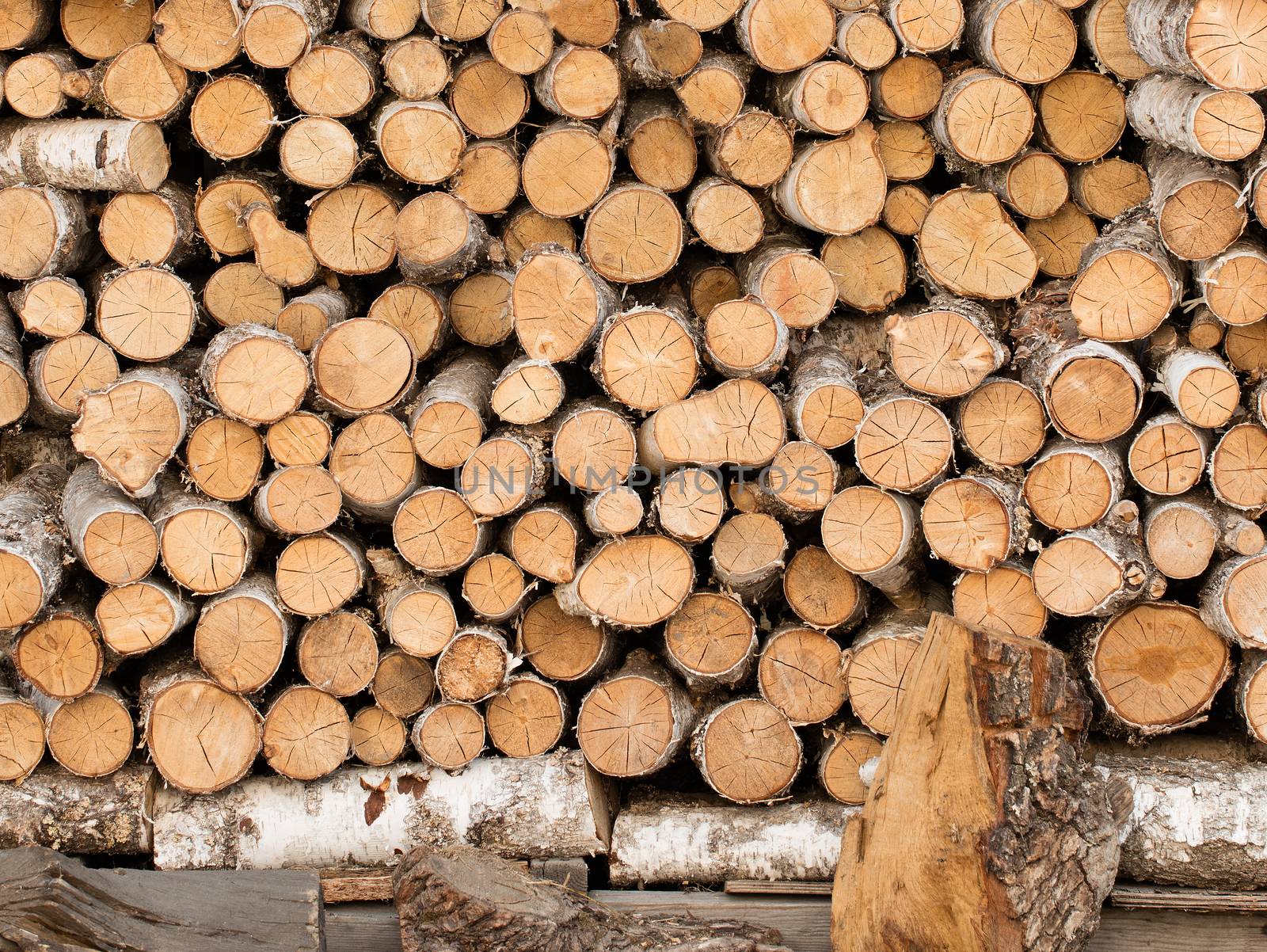 Birch logs lie on top of each other for heating in a home oven.