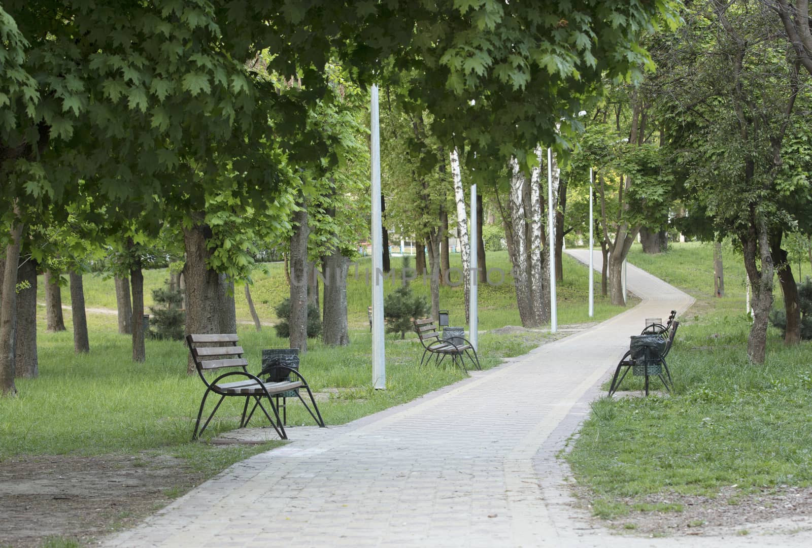 Wooden benches in the city summer park along the cobbled path