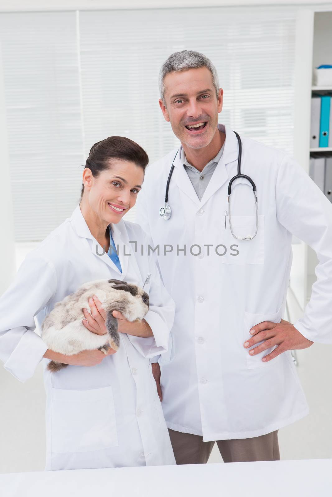 Smiling veterinarians holding cat in medical office  