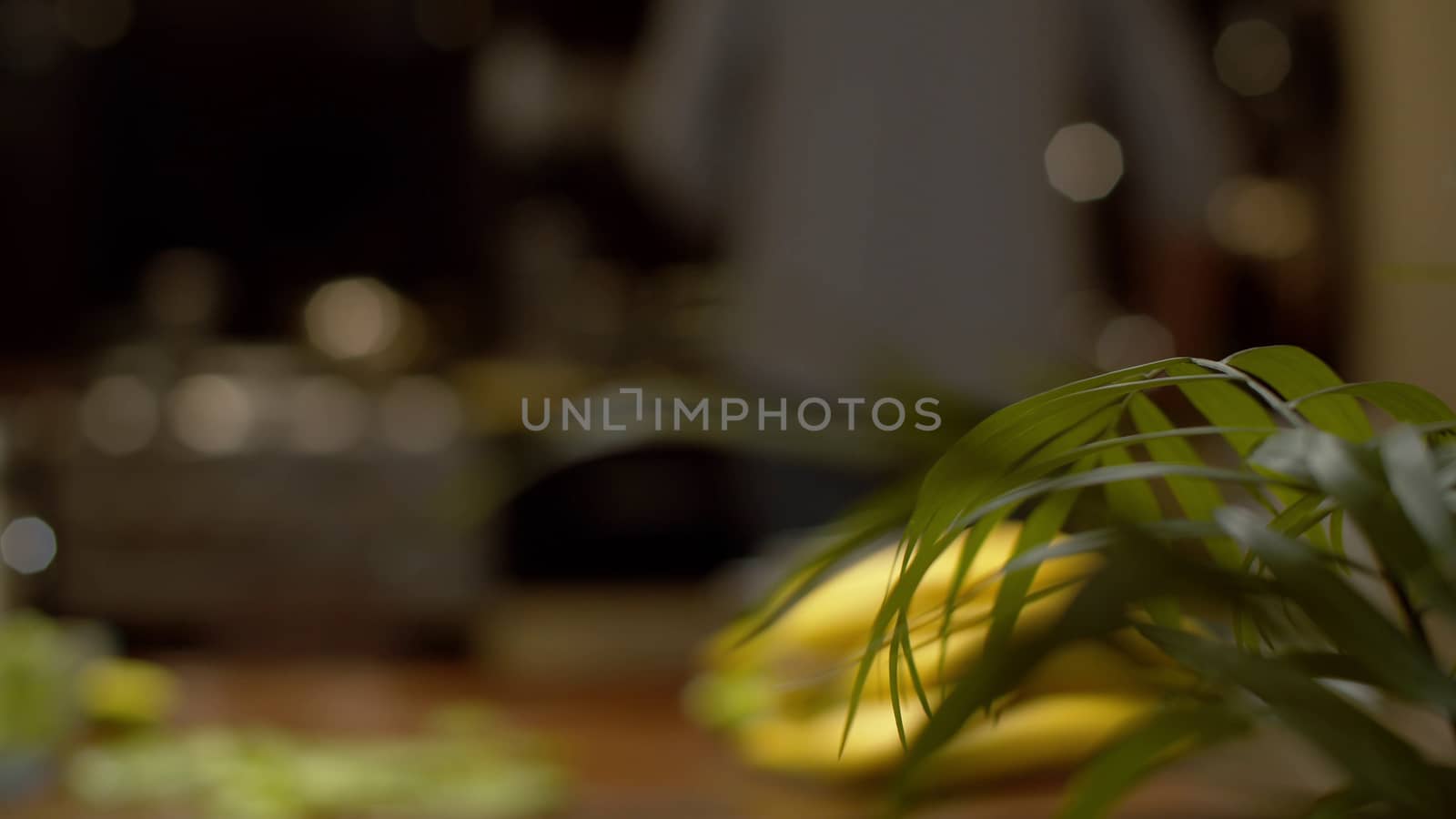 Close up leaves of a home plant against a blurred kitchen background