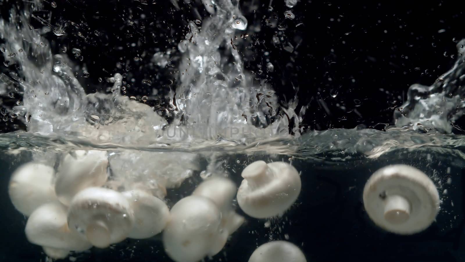 Close up mushrooms falling into the water with a splash on black background