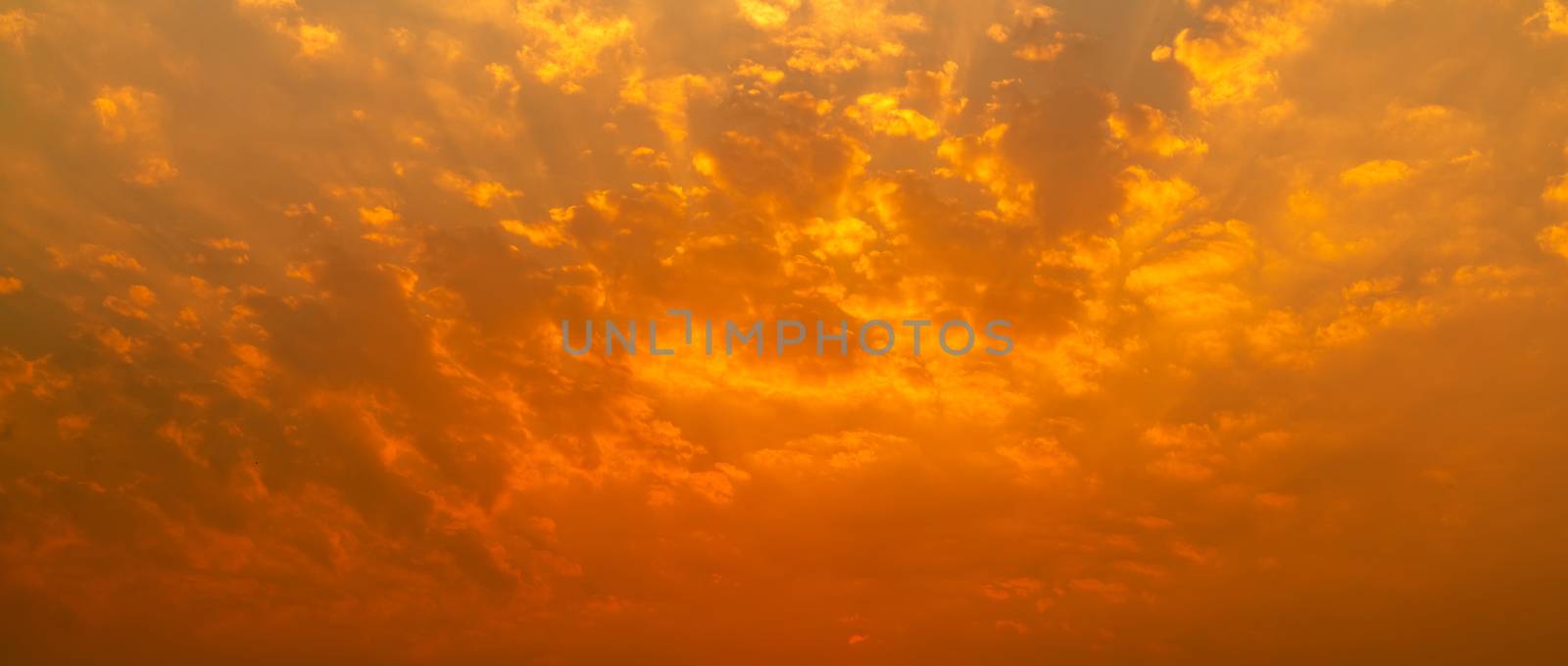 Beautiful sunset sky. Golden sunset sky with beautiful pattern of clouds. Panorama scene of orange cloudy sky background. Beauty in nature. Powerful and spiritual scene. Heaven golden cloudscape.