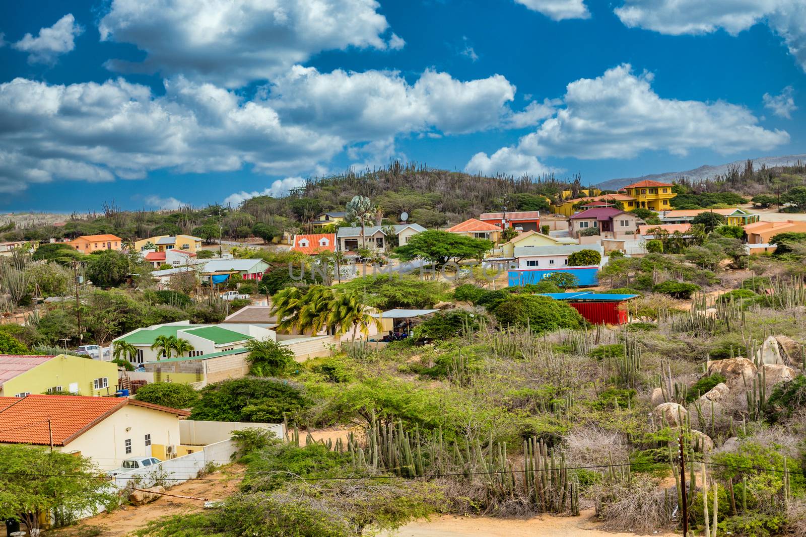 Colorful Homes on Hill in Aruba by dbvirago