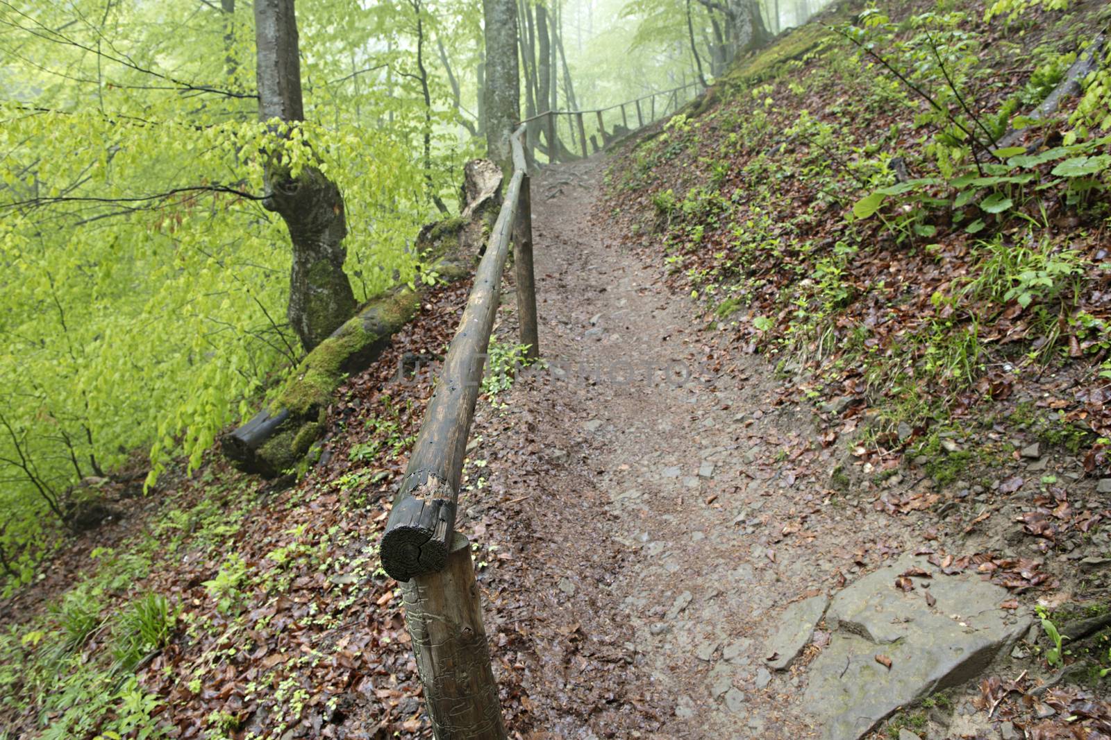 A narrow steep mountain path in the forest with old handrails by Sergii